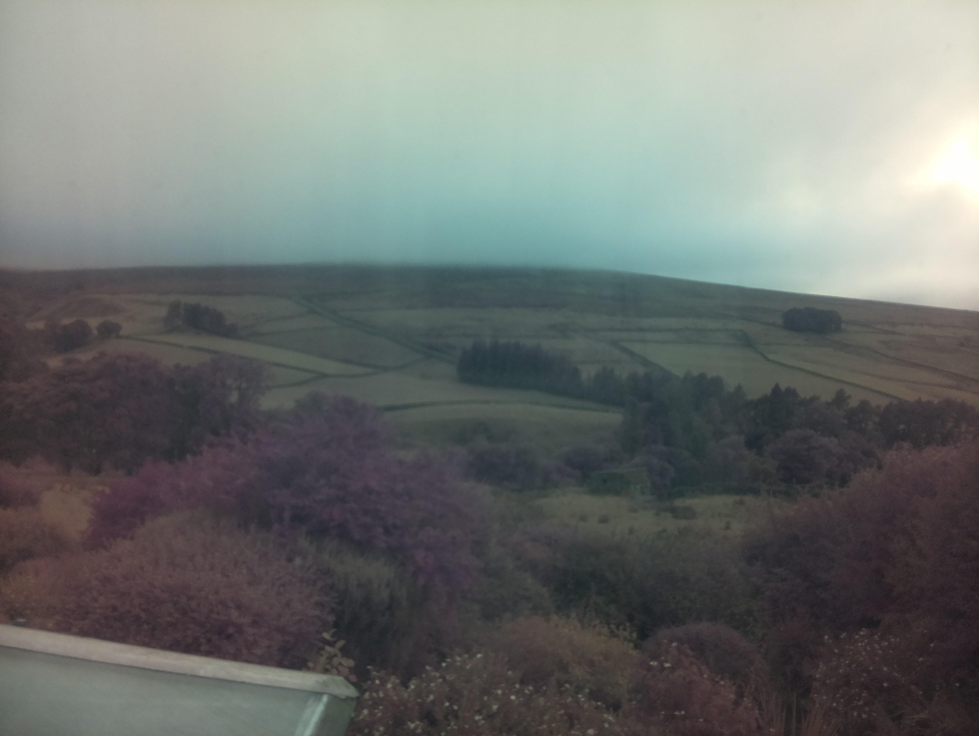 raspi webcam photo