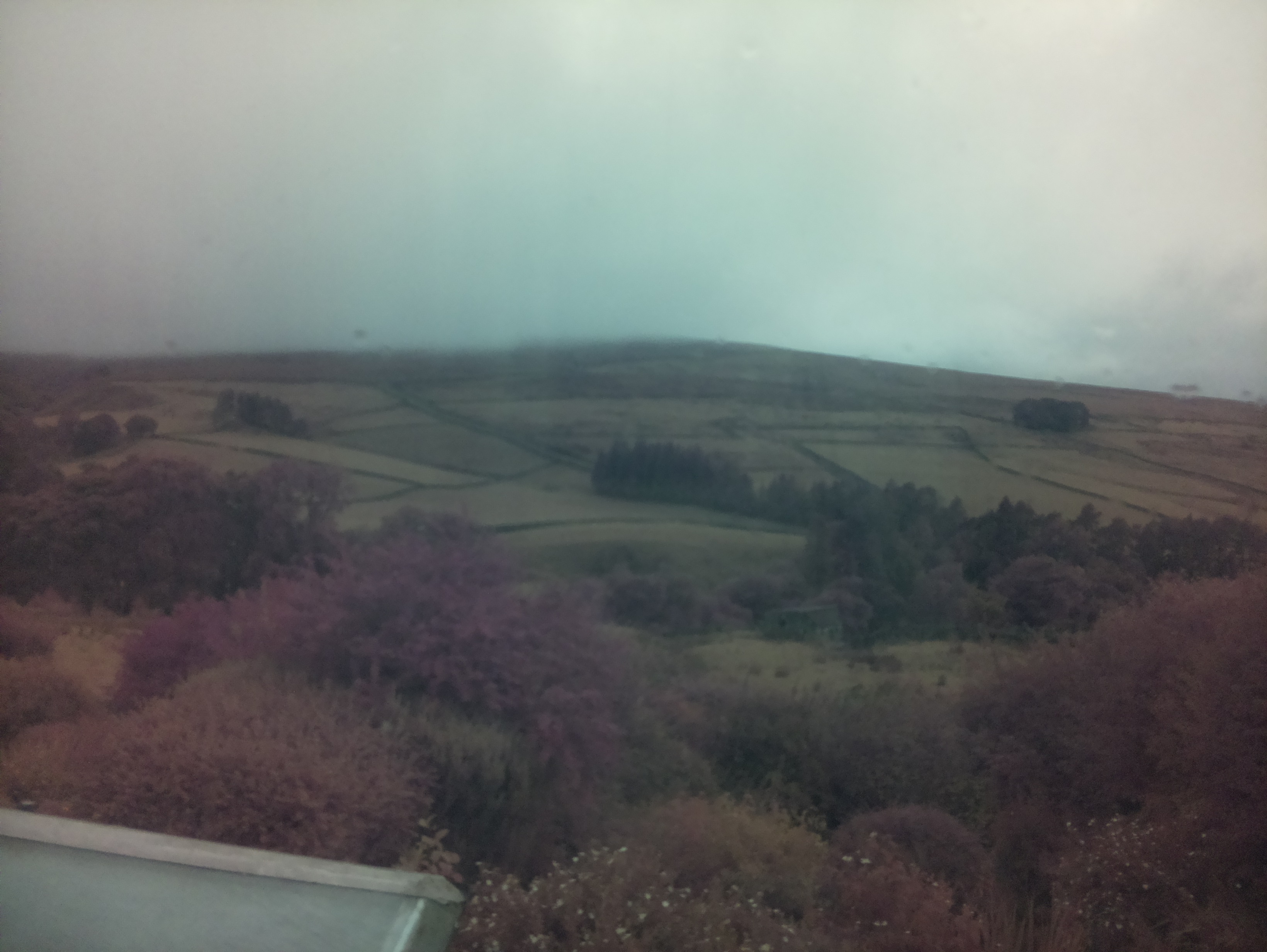 raspi webcam photo