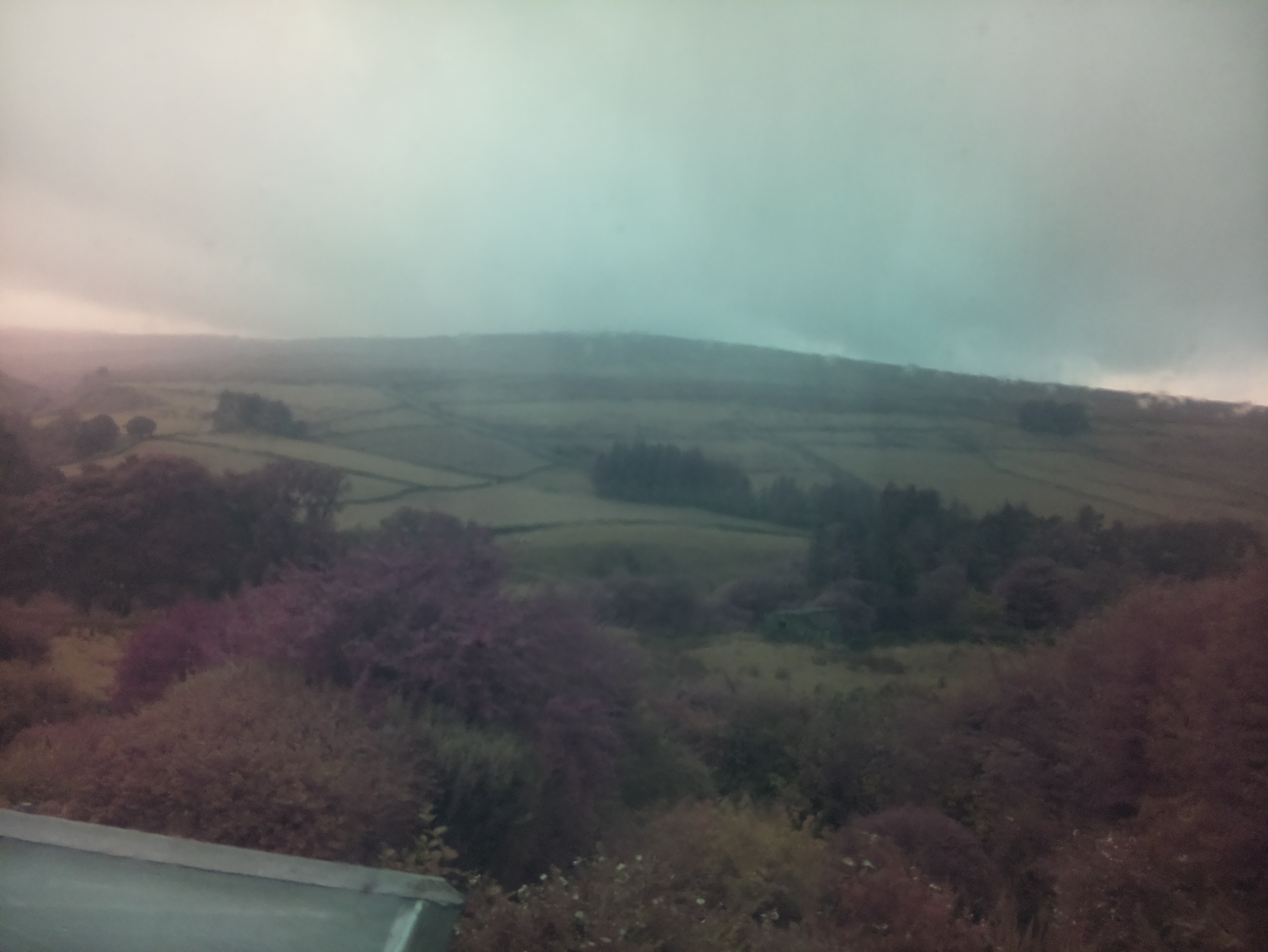 raspi webcam photo