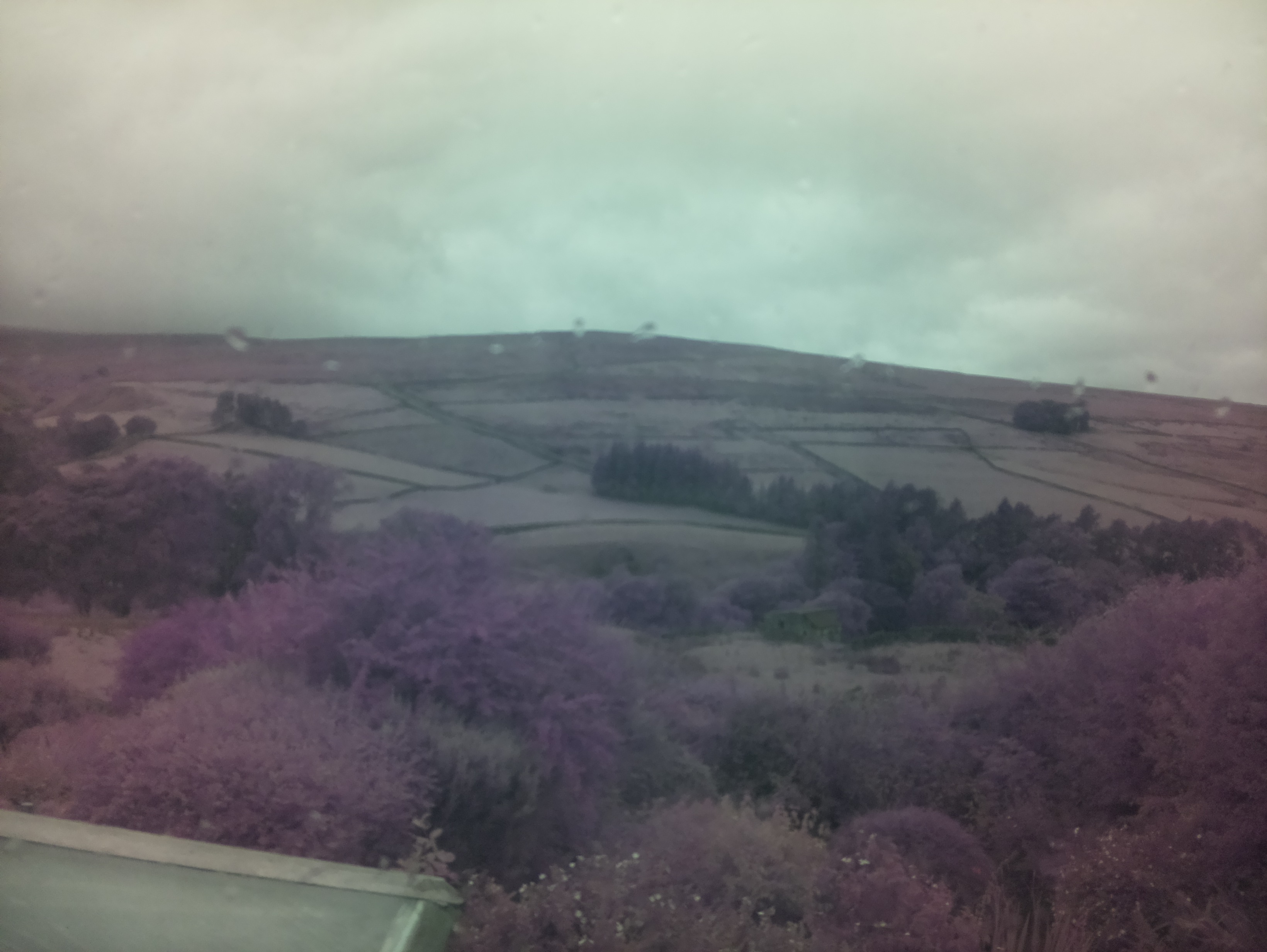 raspi webcam photo