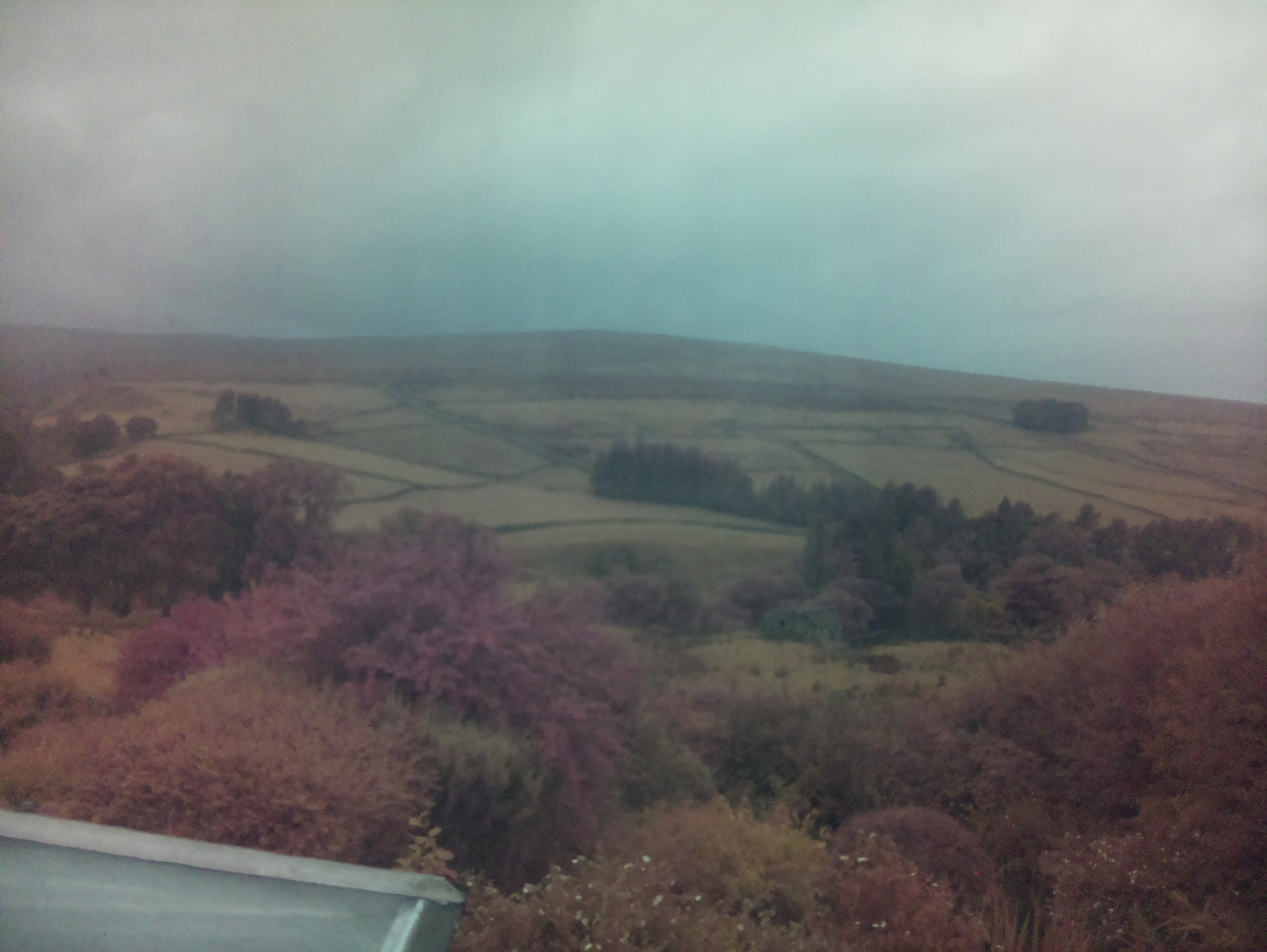 raspi webcam photo