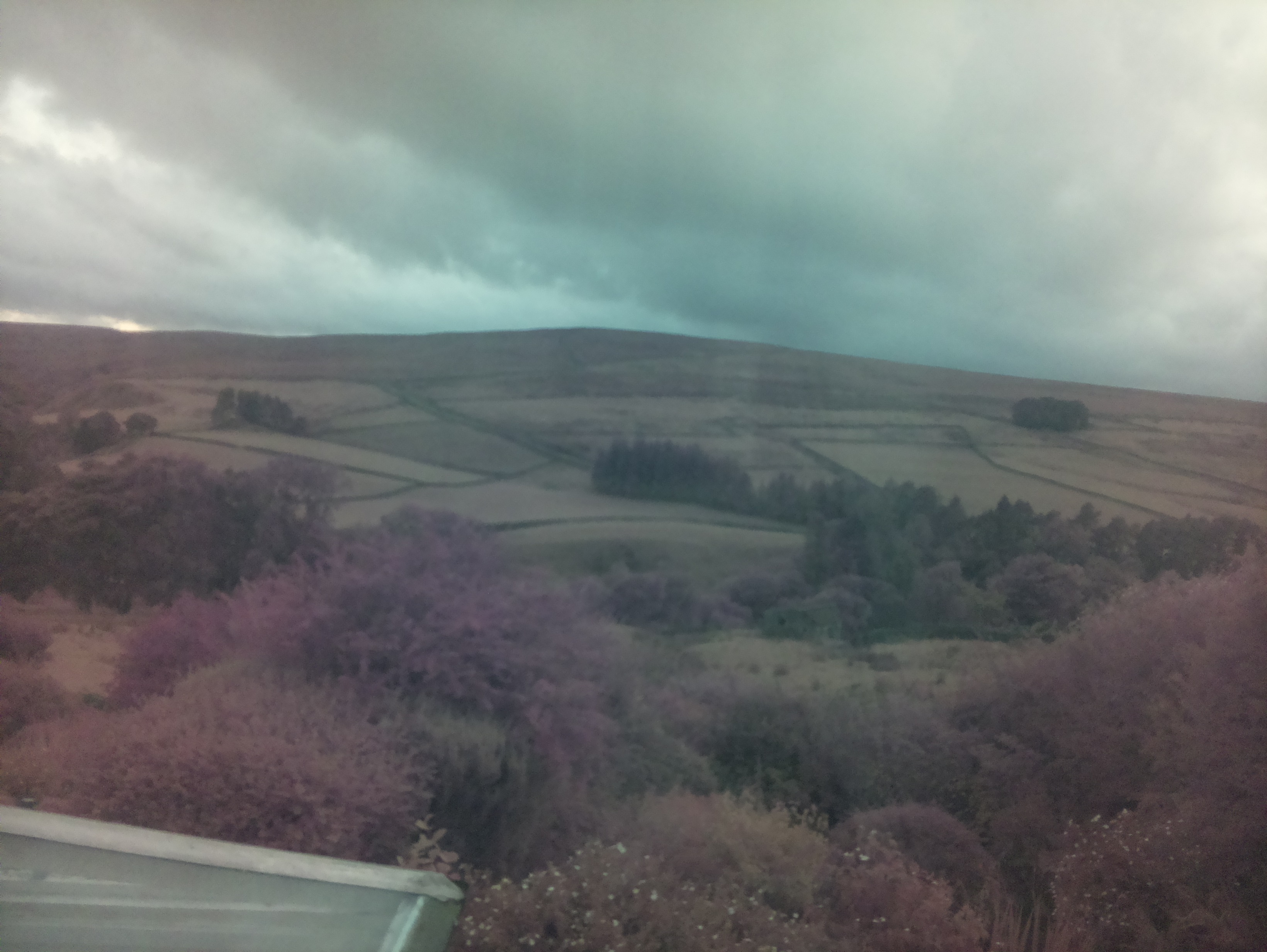 raspi webcam photo