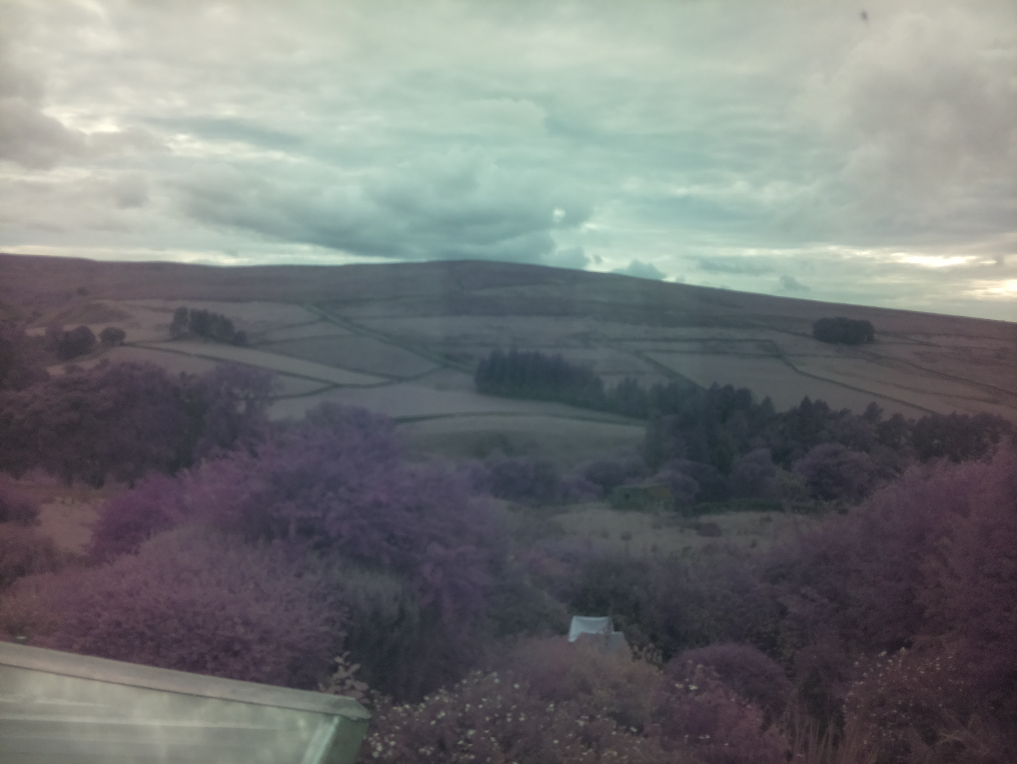 raspi webcam photo