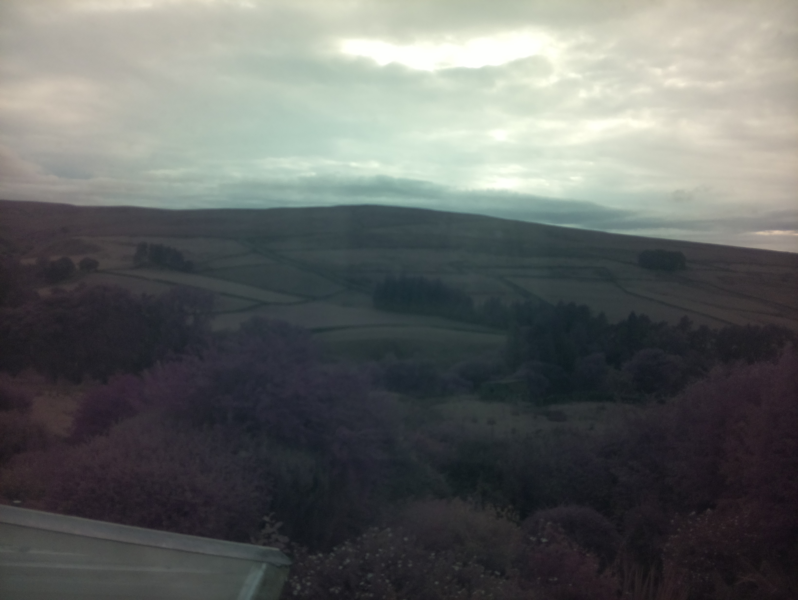 raspi webcam photo