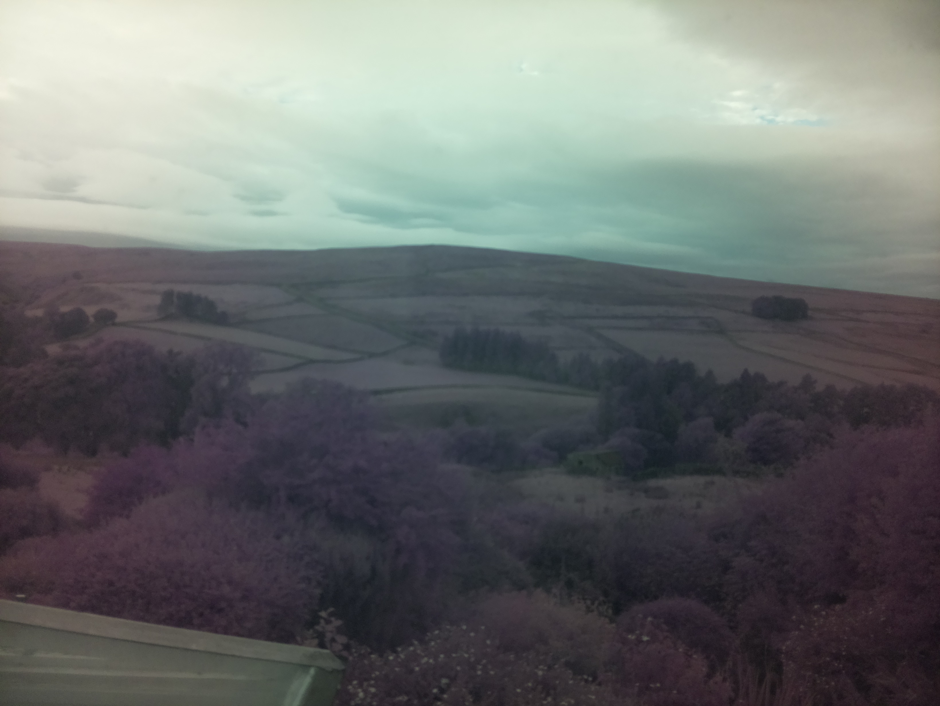raspi webcam photo