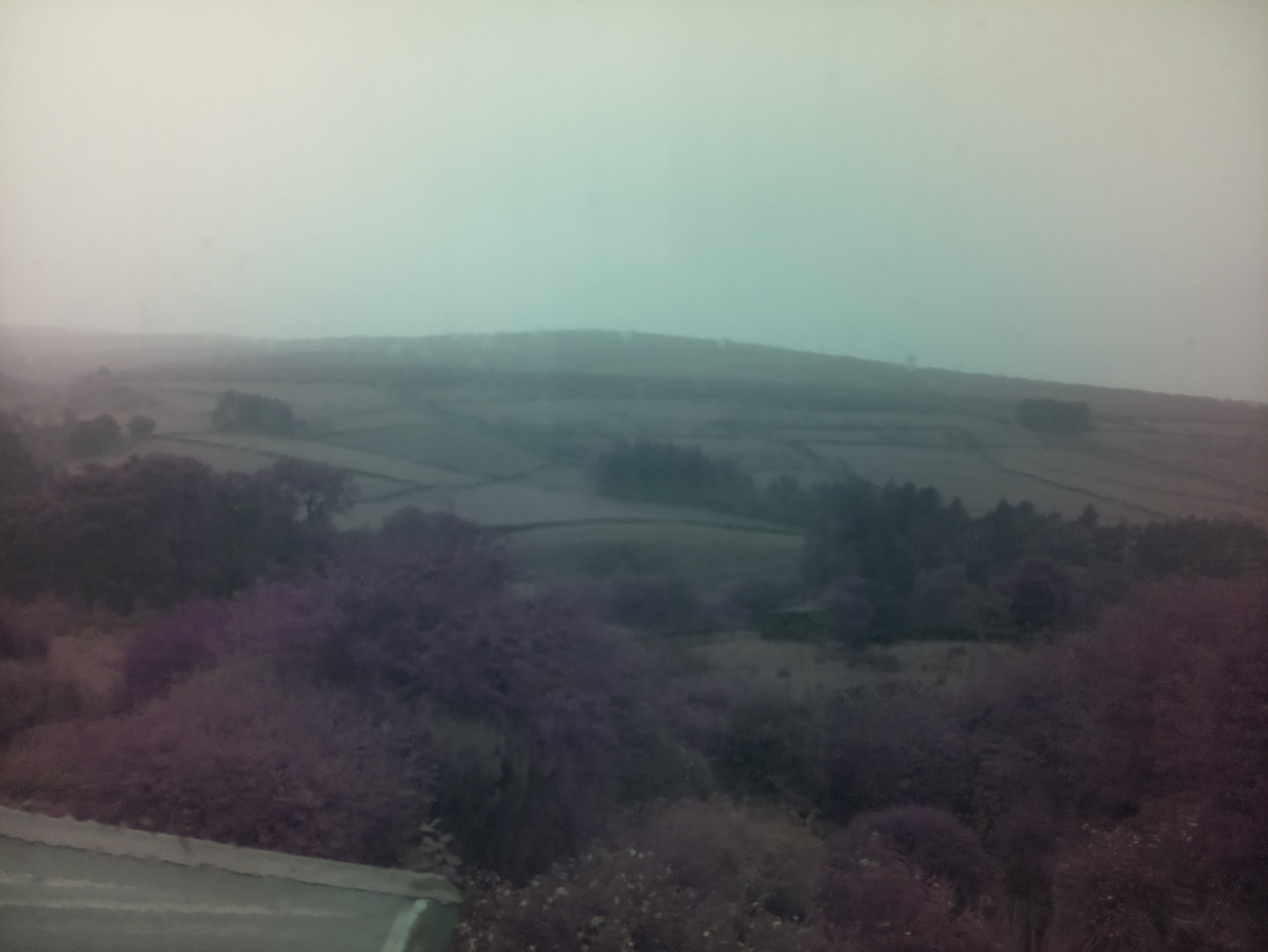 raspi webcam photo