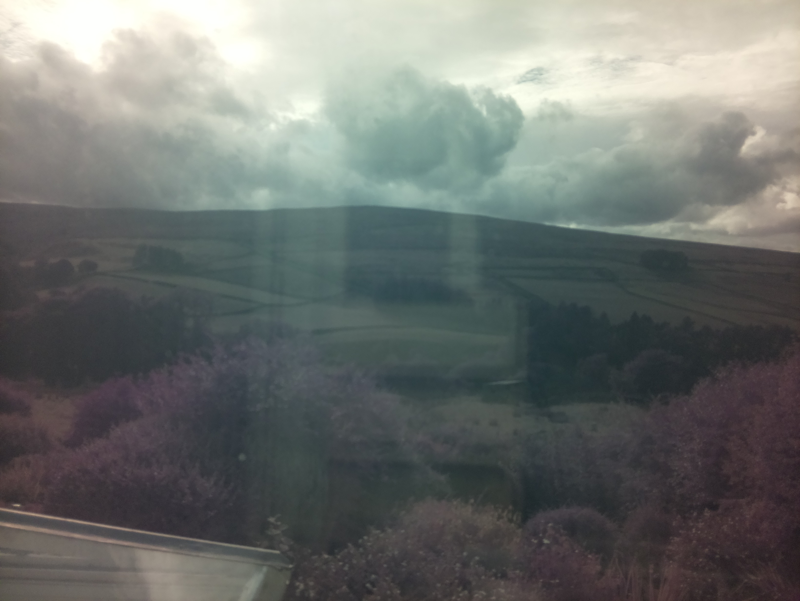 raspi webcam photo