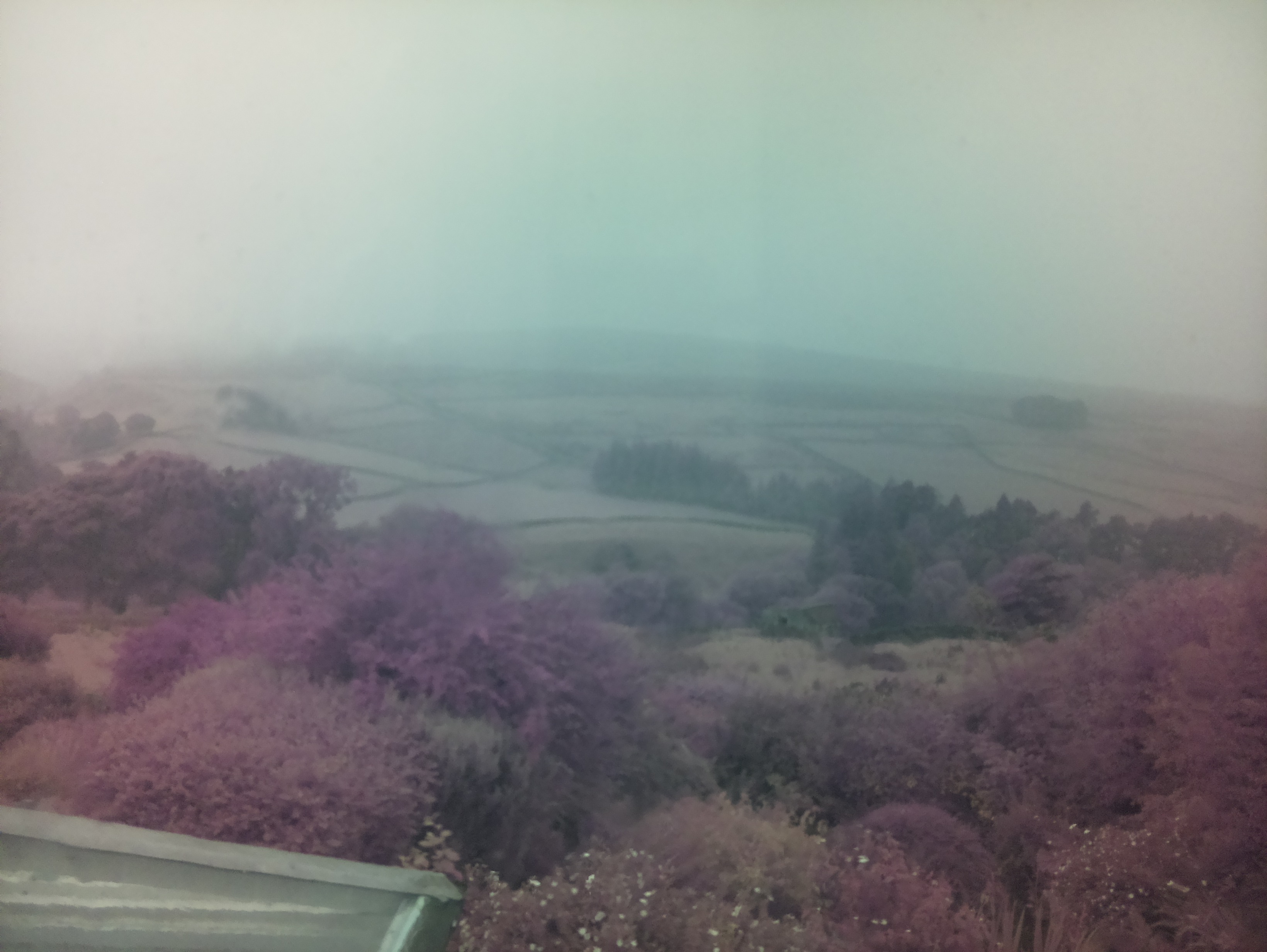 raspi webcam photo