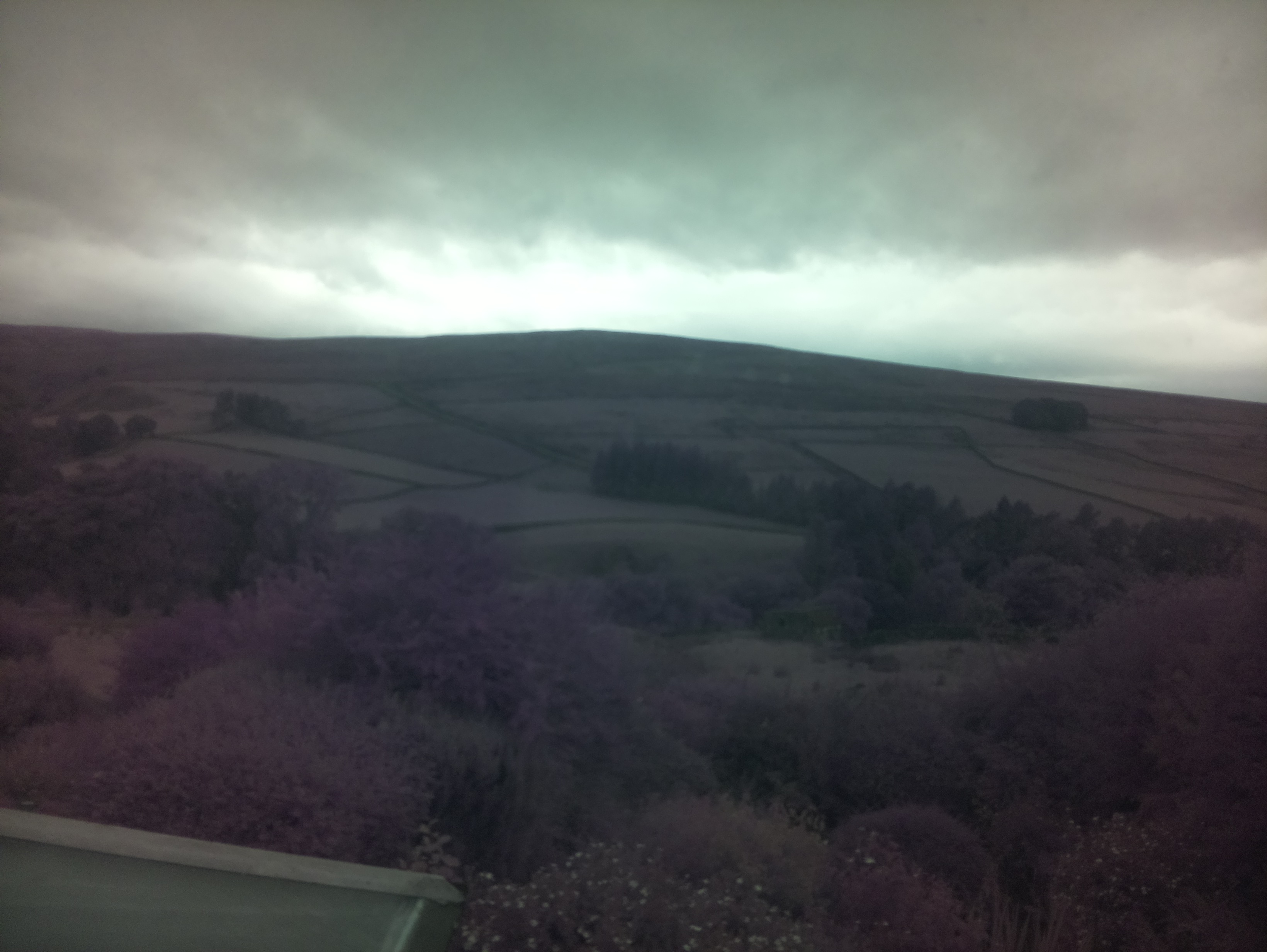 raspi webcam photo