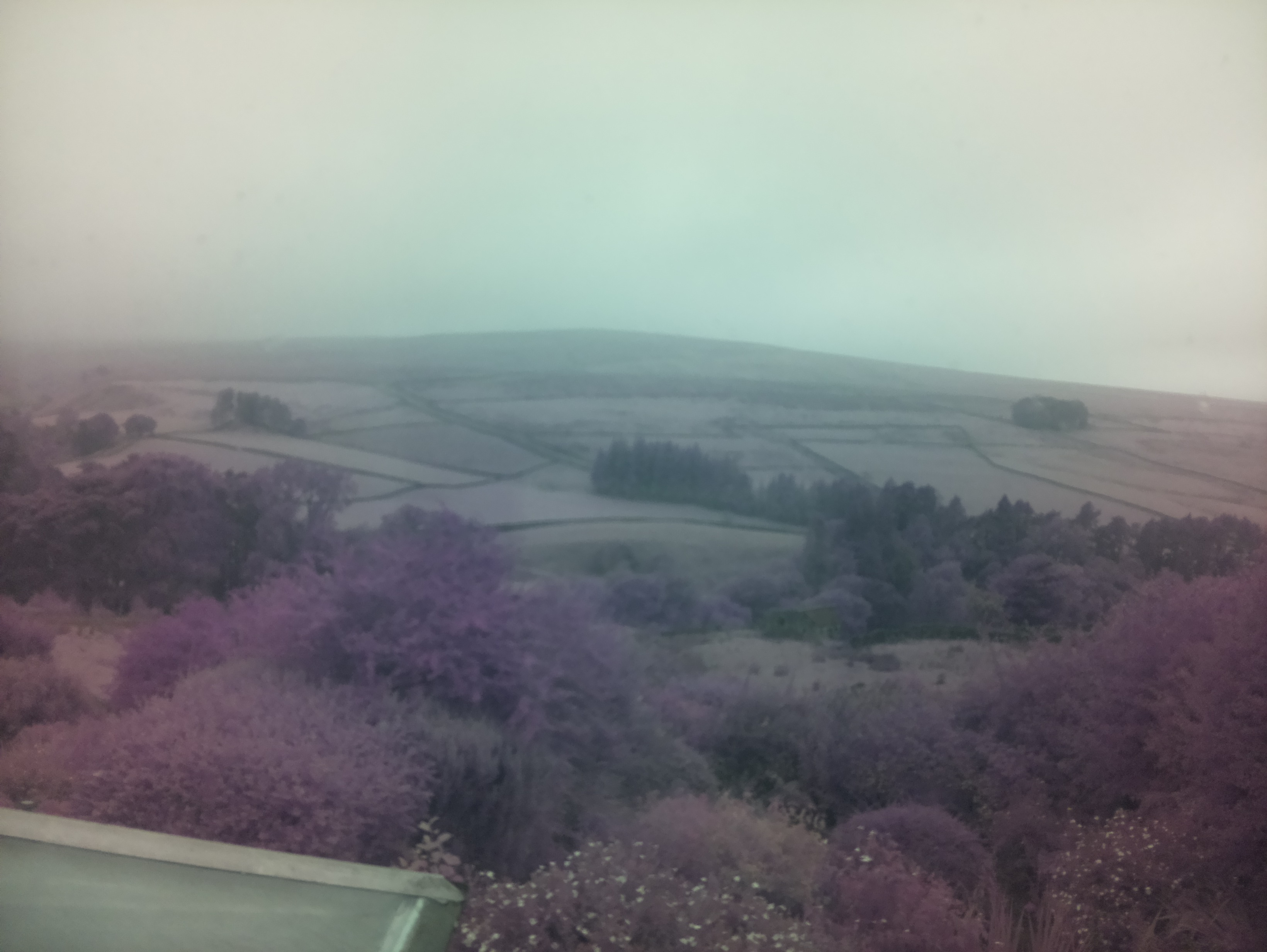 raspi webcam photo