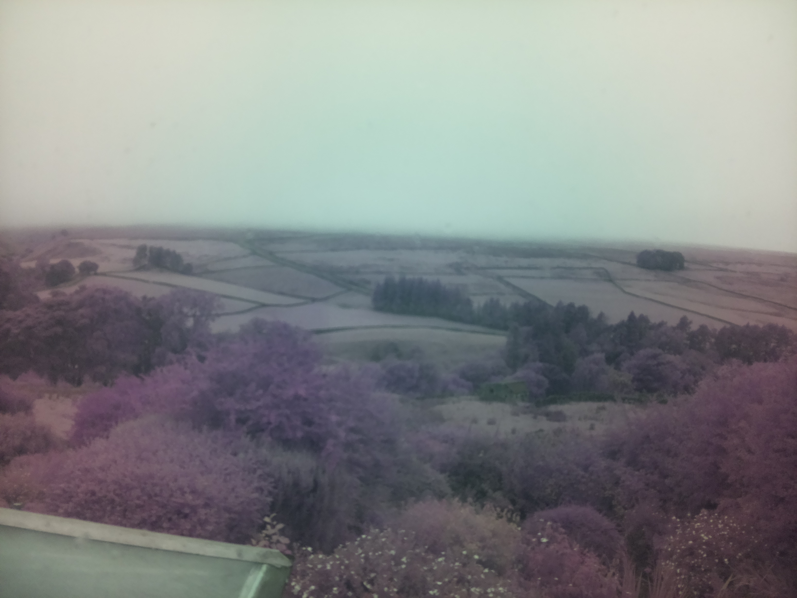 raspi webcam photo