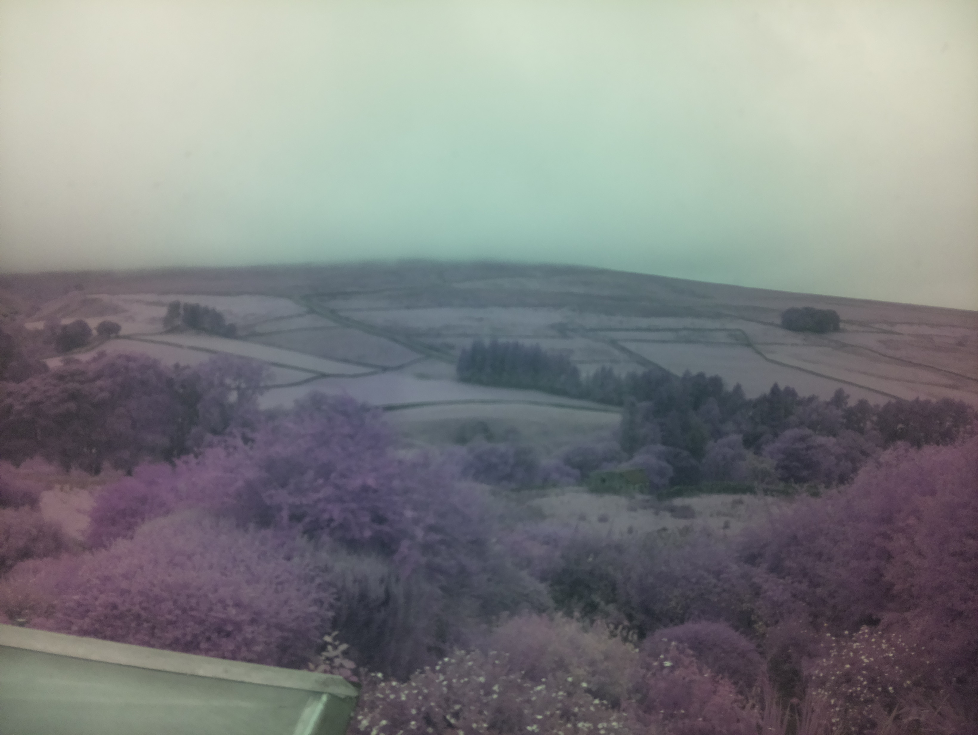 raspi webcam photo
