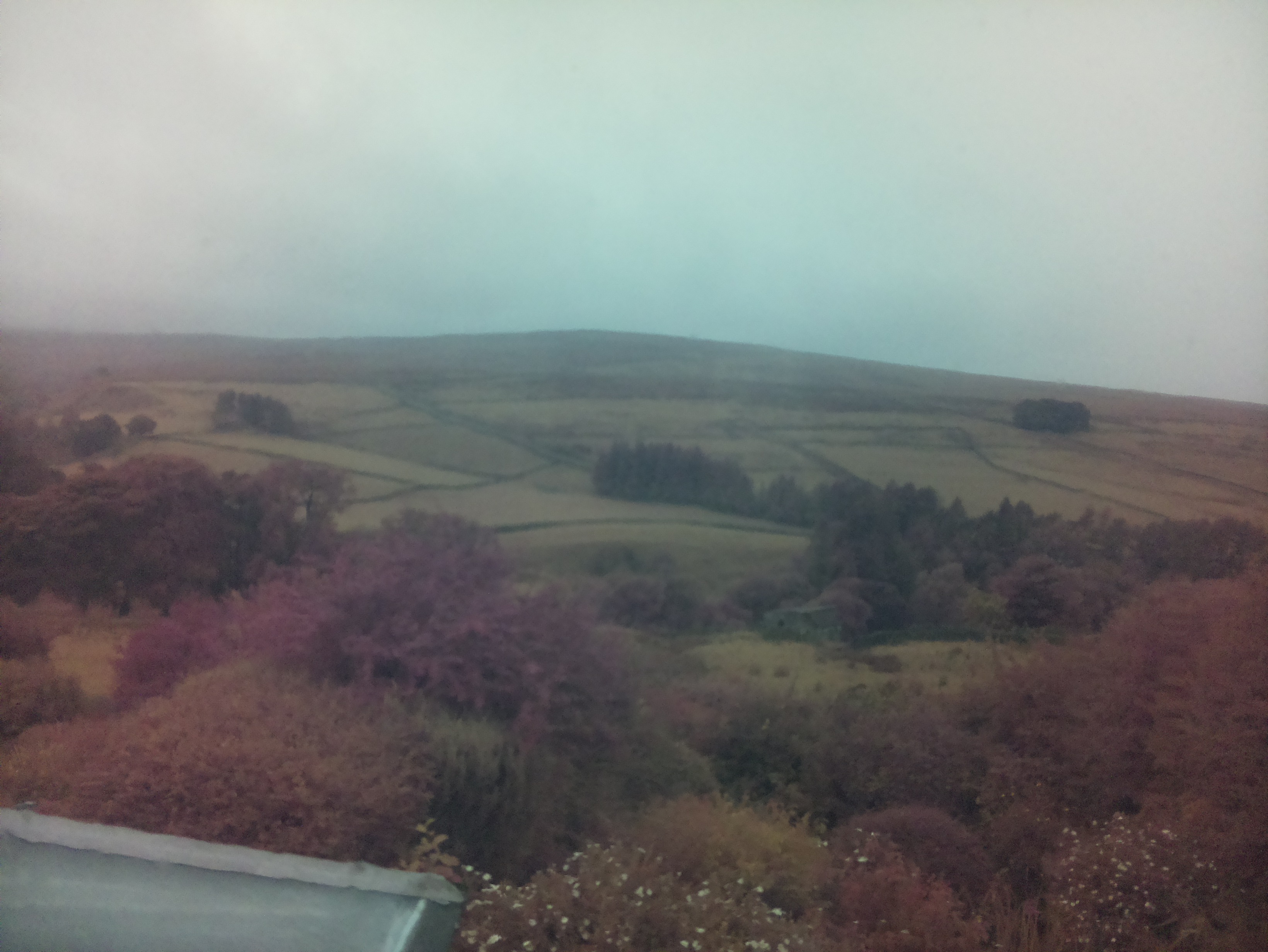 raspi webcam photo