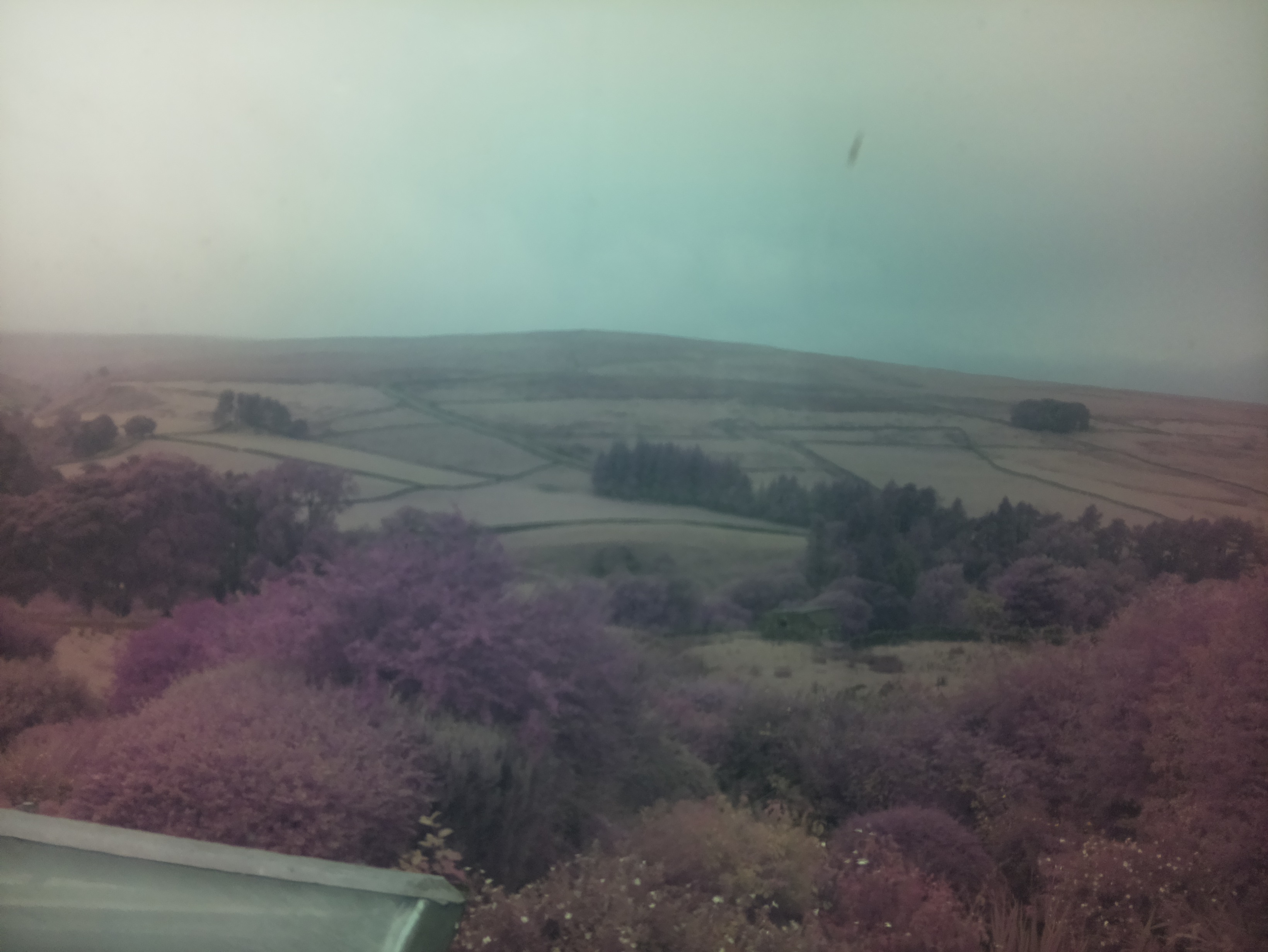 raspi webcam photo