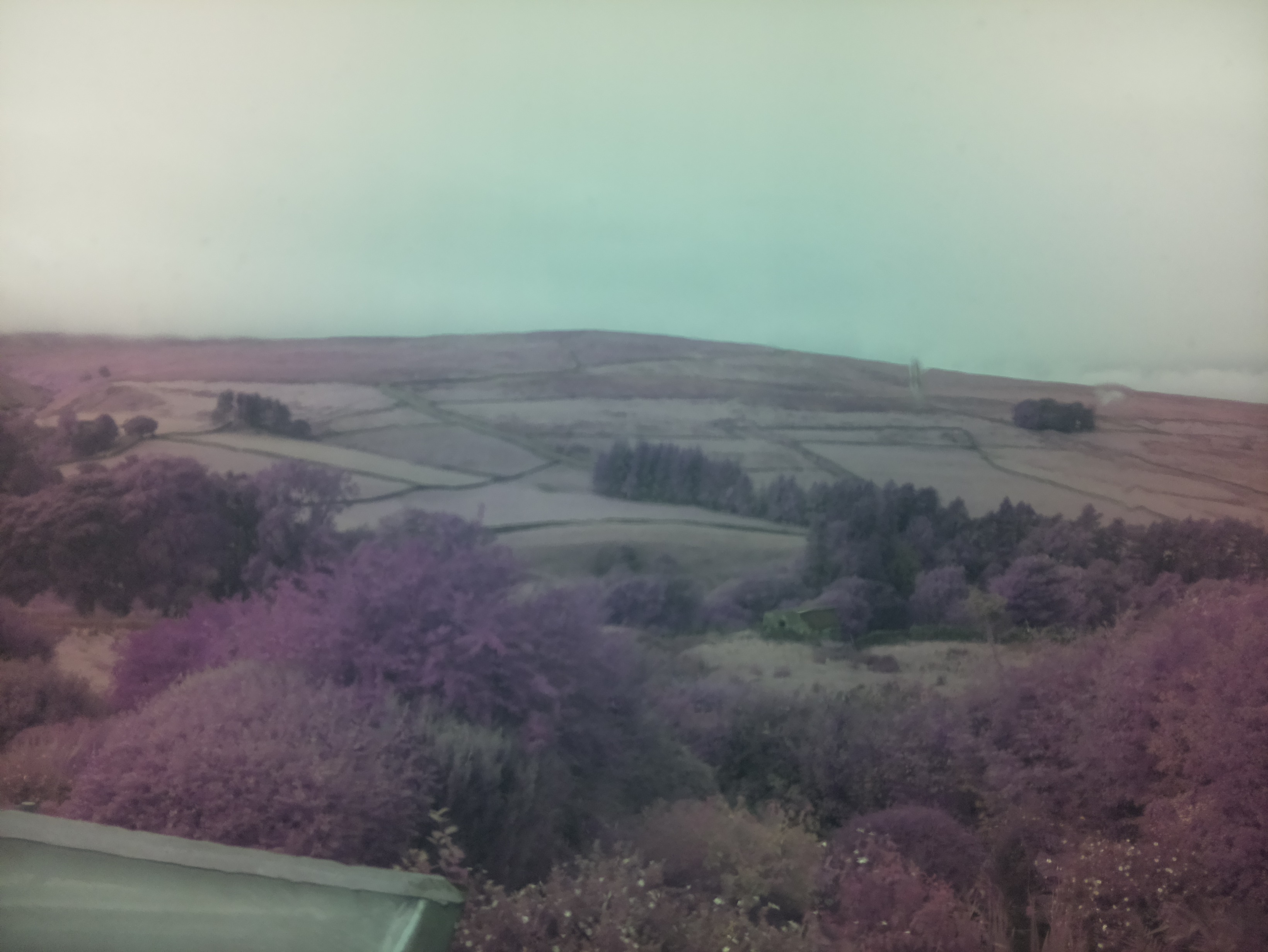 raspi webcam photo
