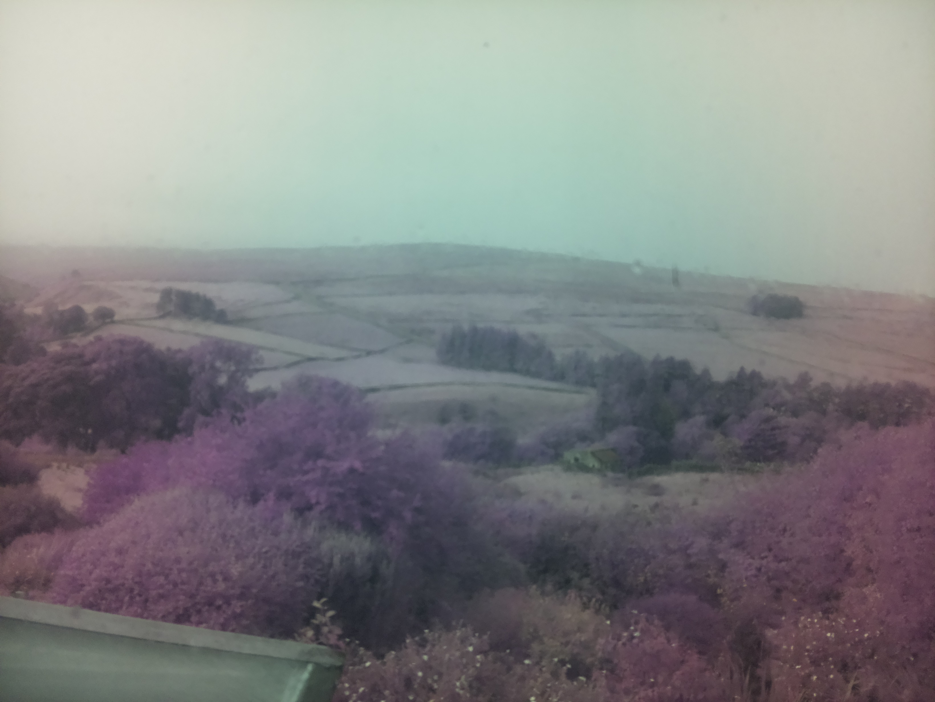 raspi webcam photo