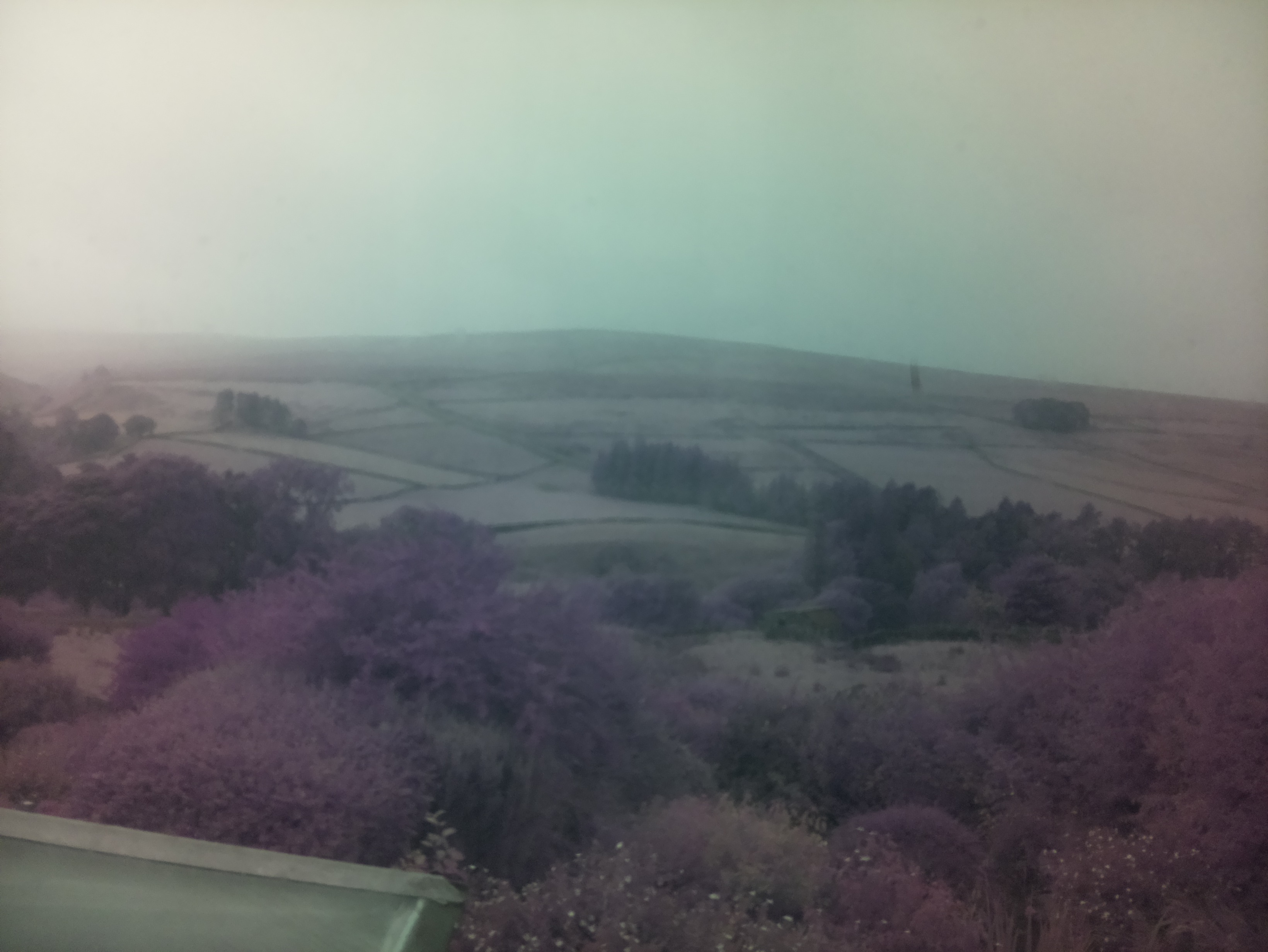 raspi webcam photo
