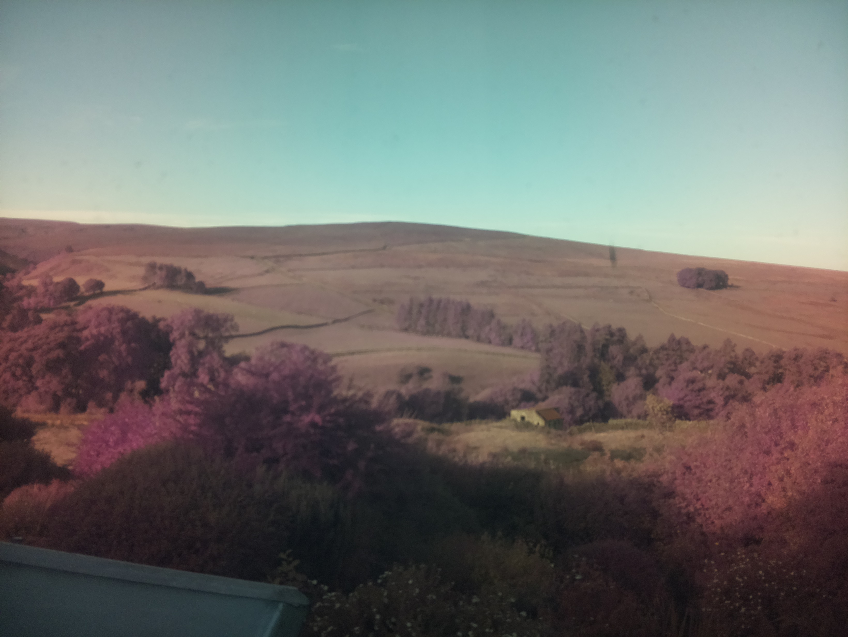 raspi webcam photo
