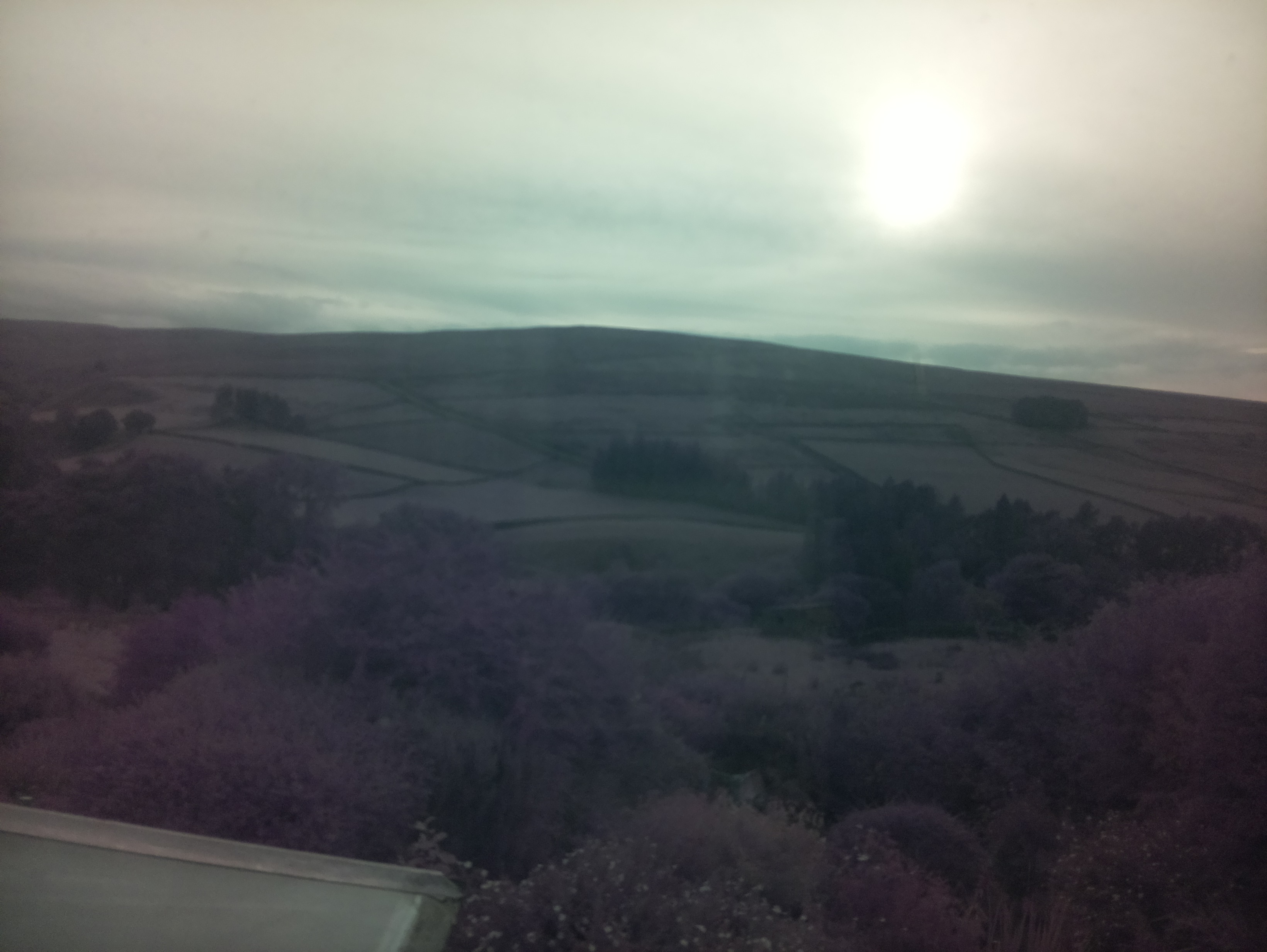 raspi webcam photo