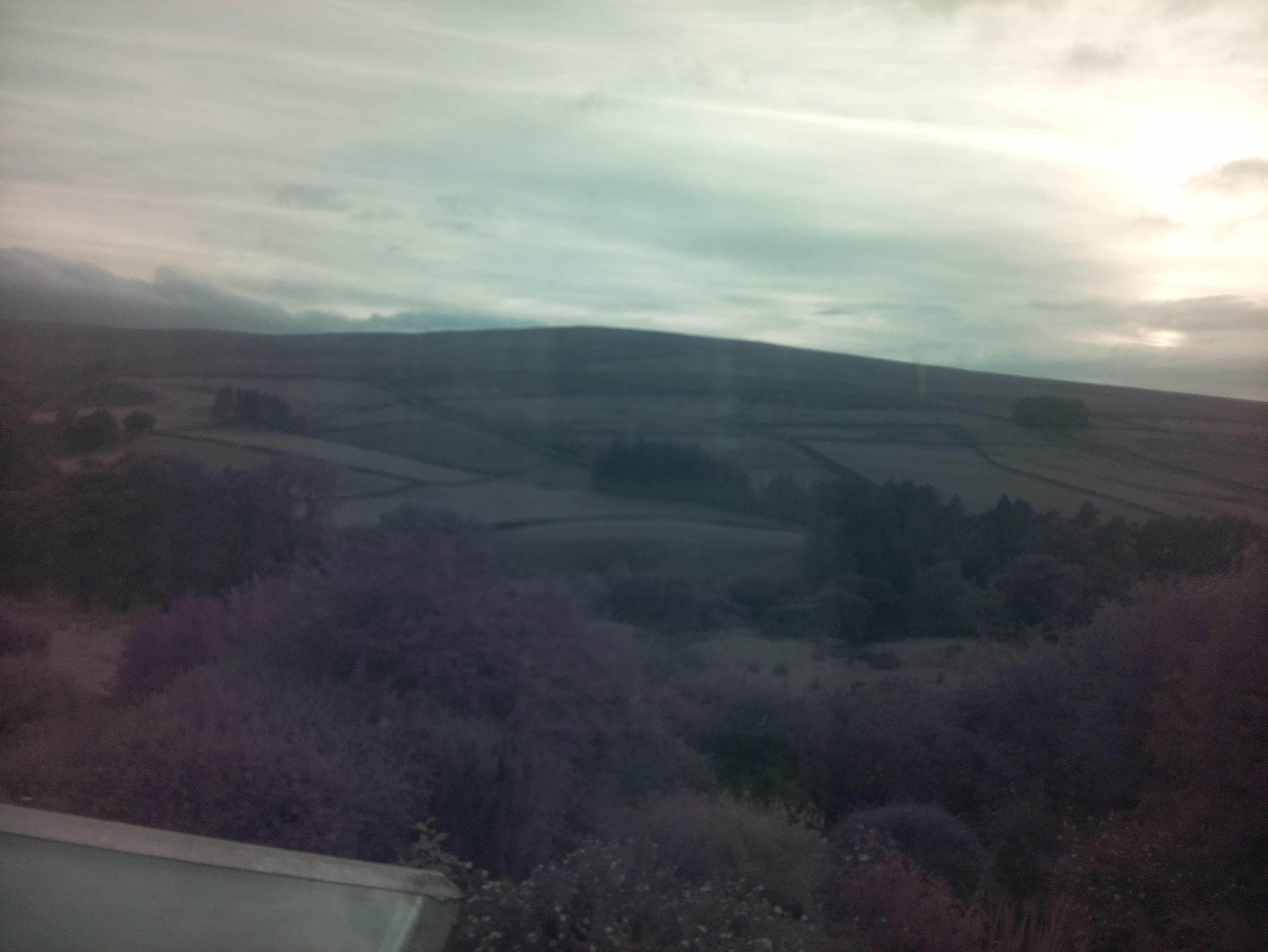 raspi webcam photo