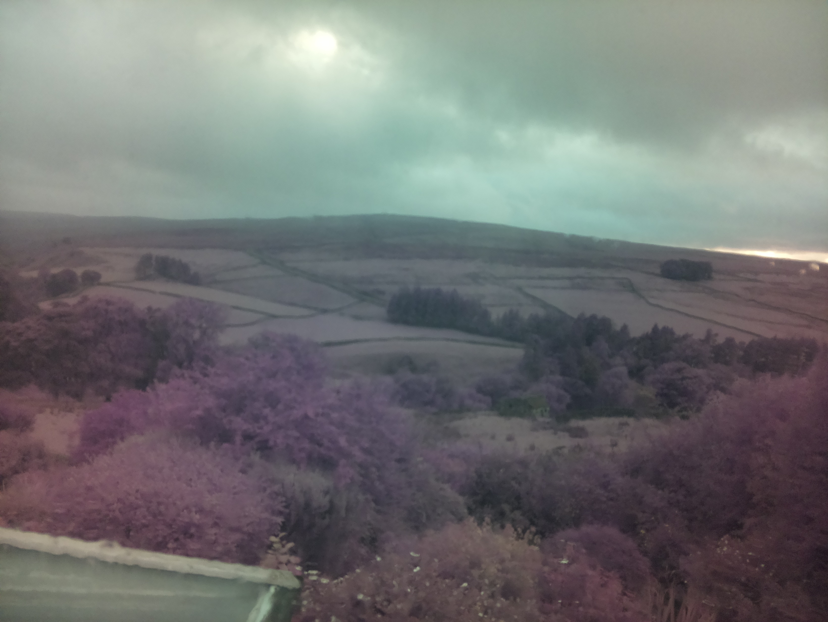 raspi webcam photo