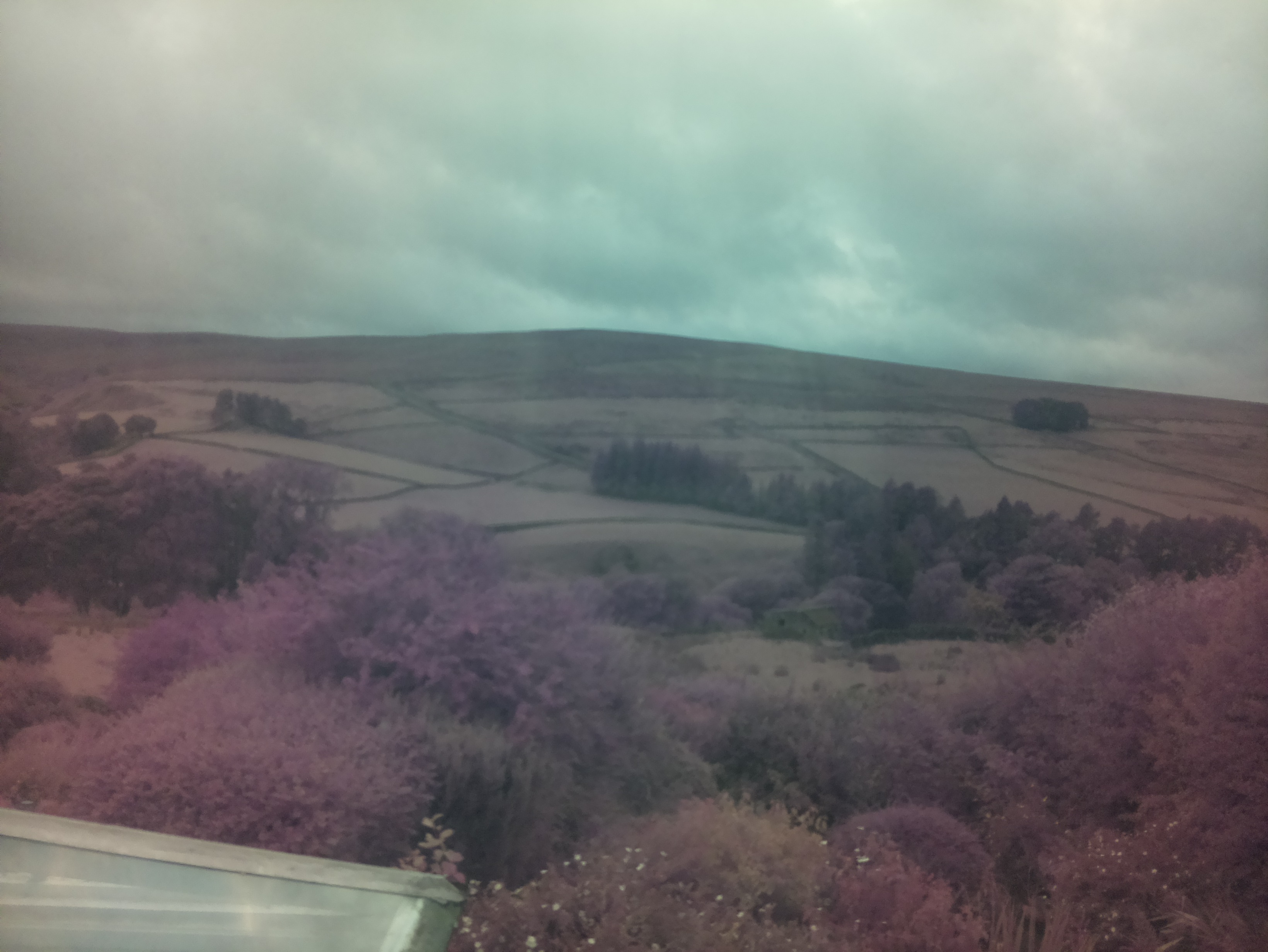 raspi webcam photo