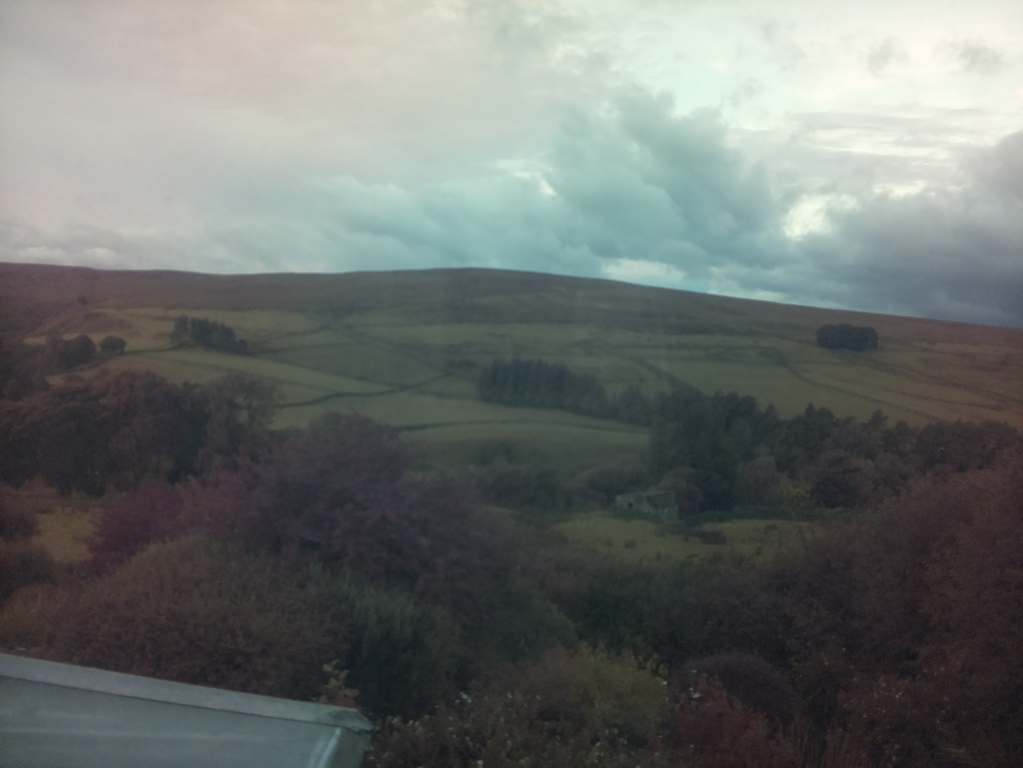 raspi webcam photo