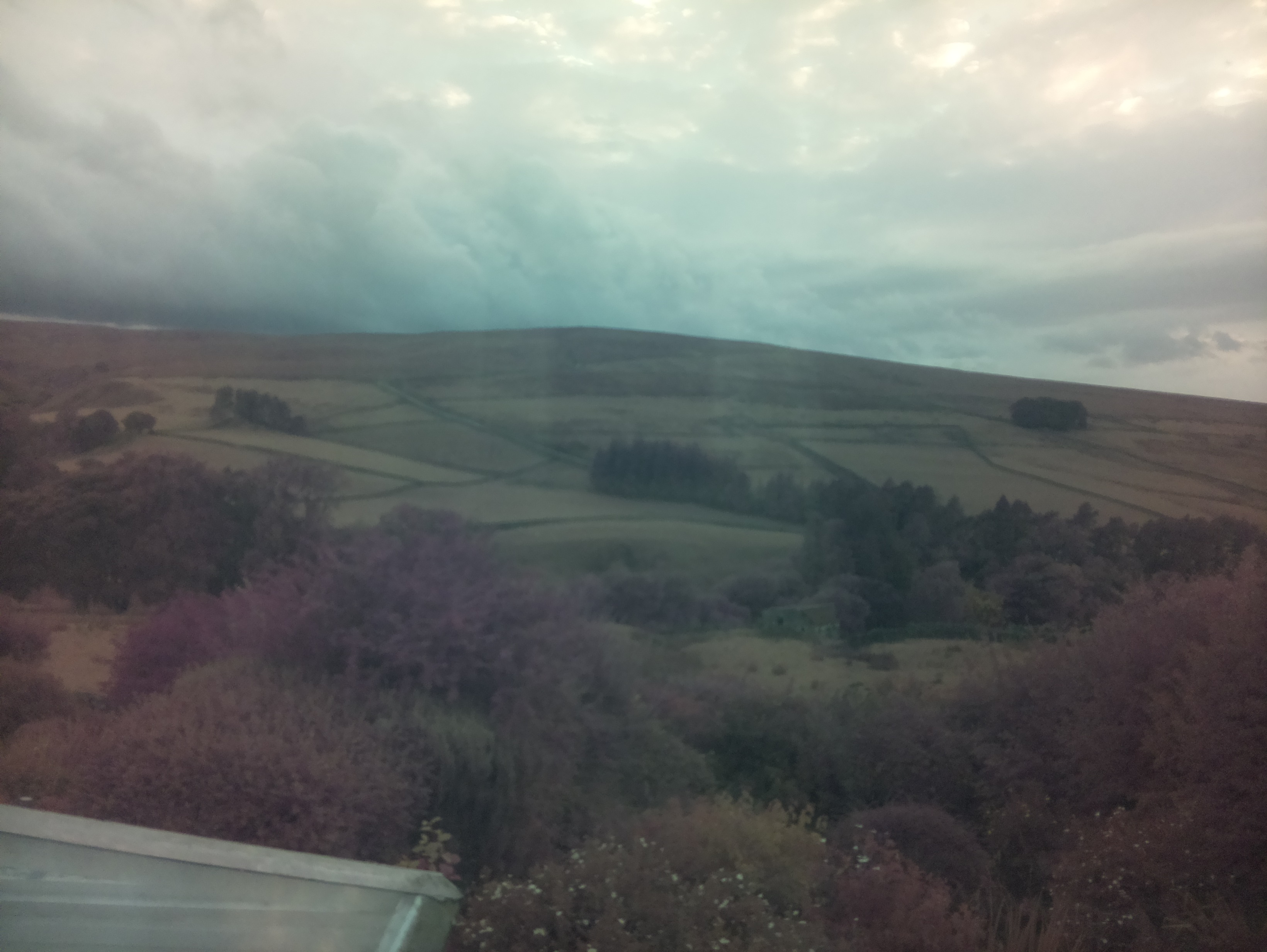 raspi webcam photo