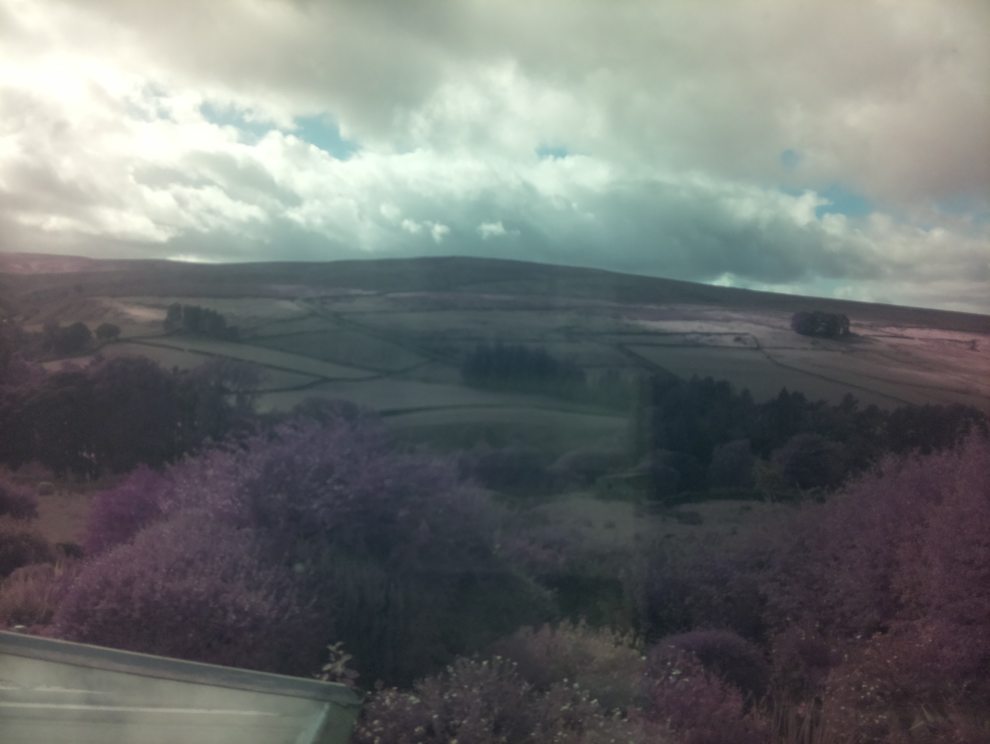 raspi webcam photo