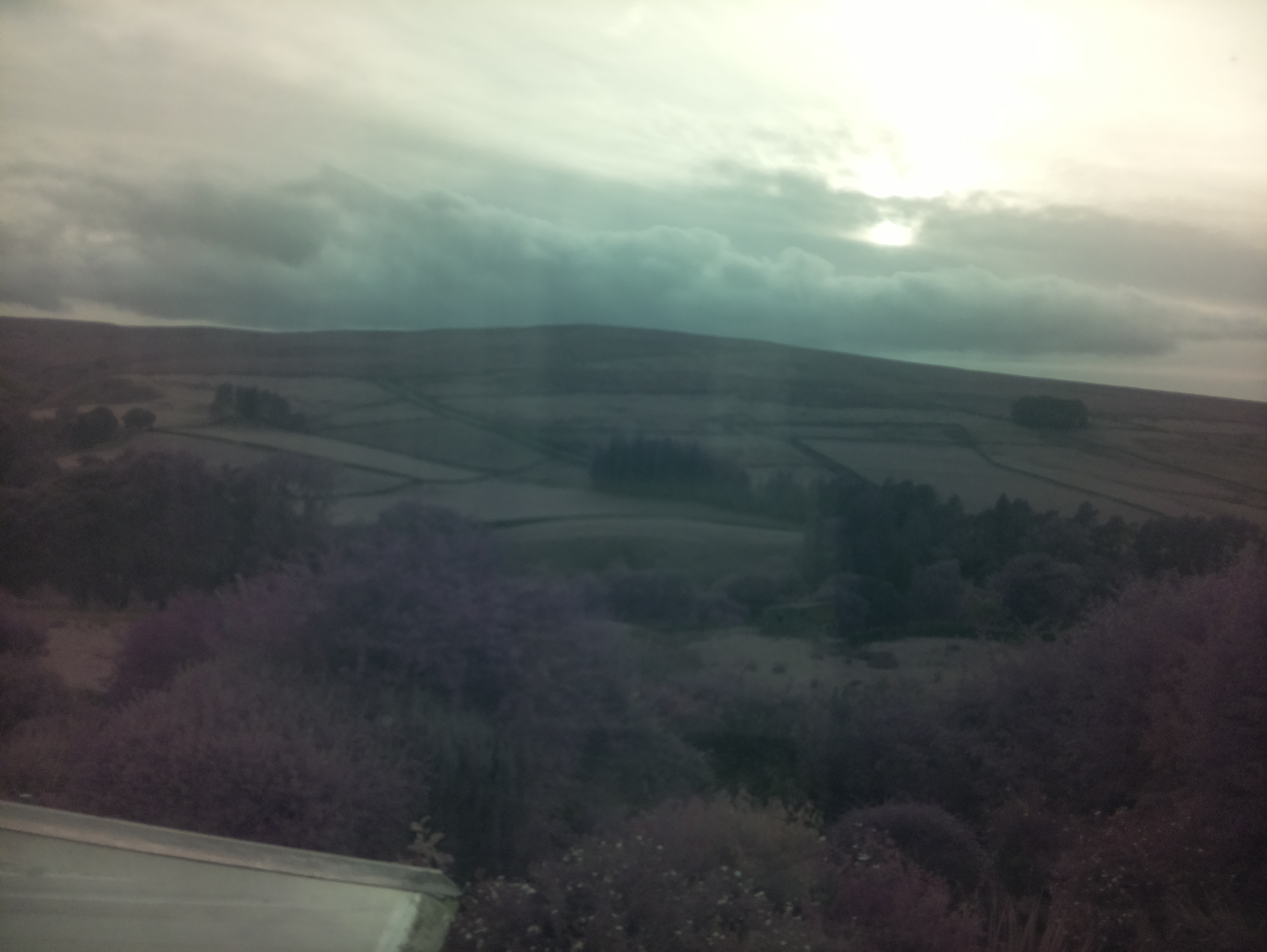 raspi webcam photo