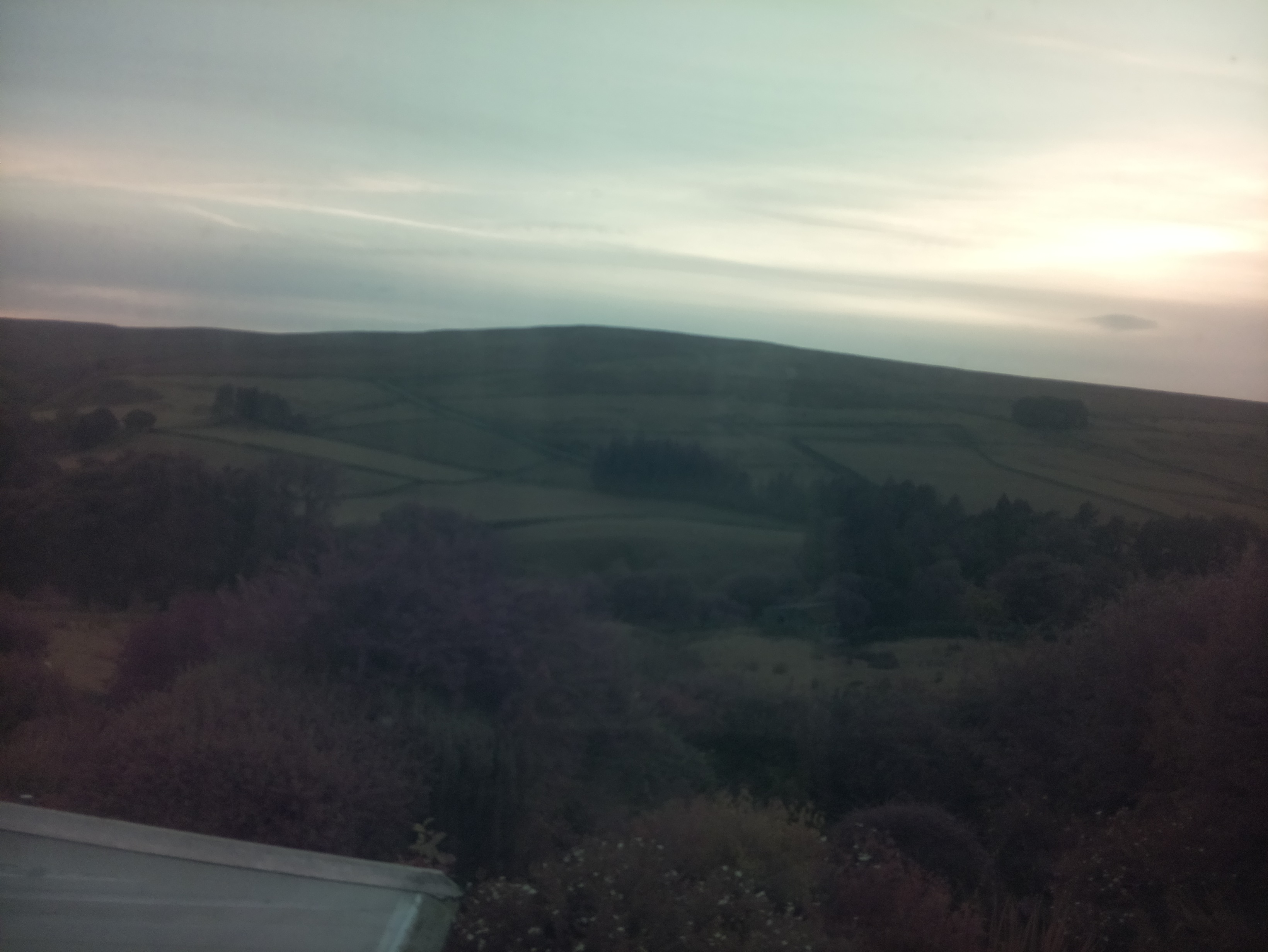 raspi webcam photo