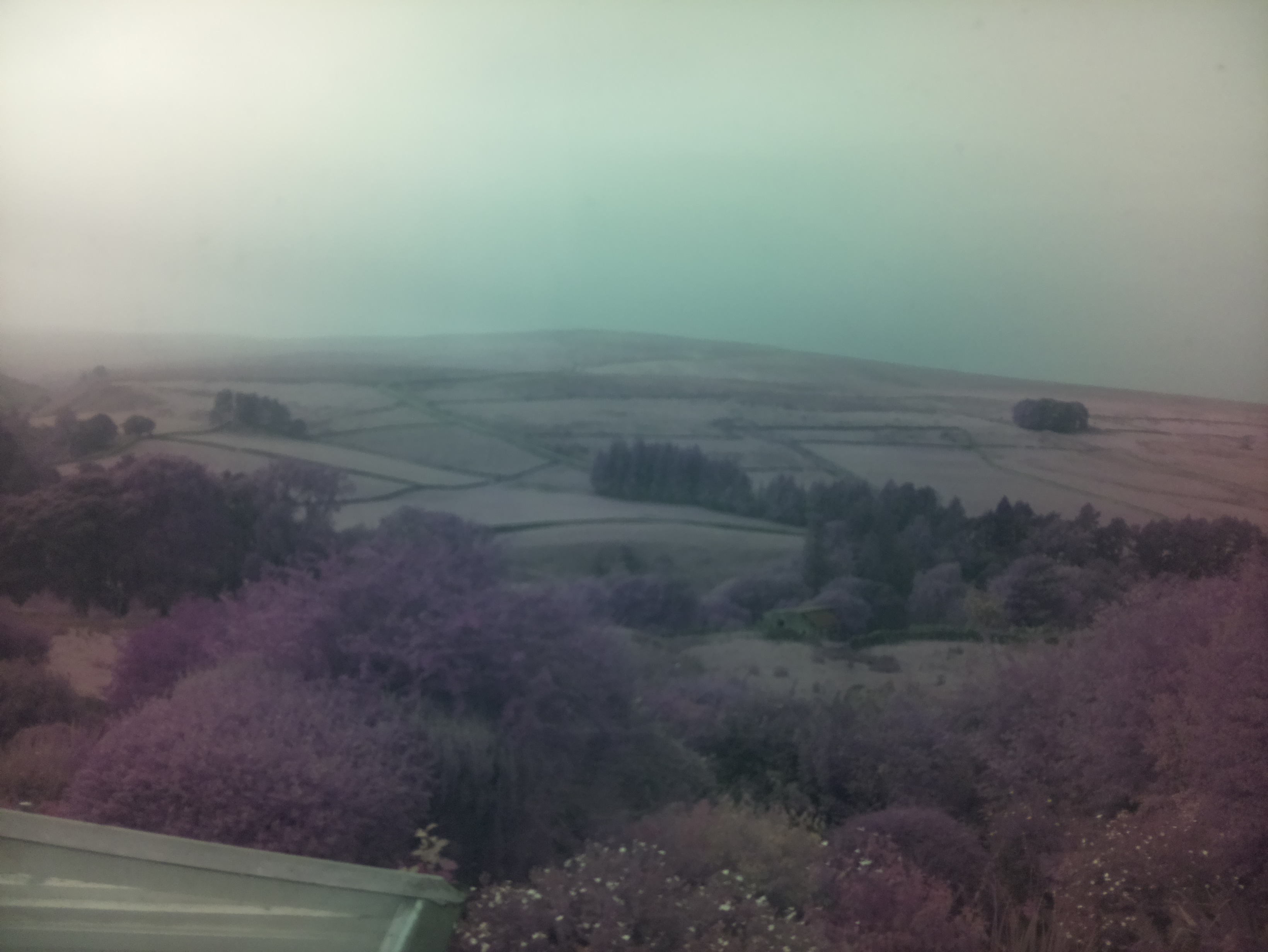 raspi webcam photo