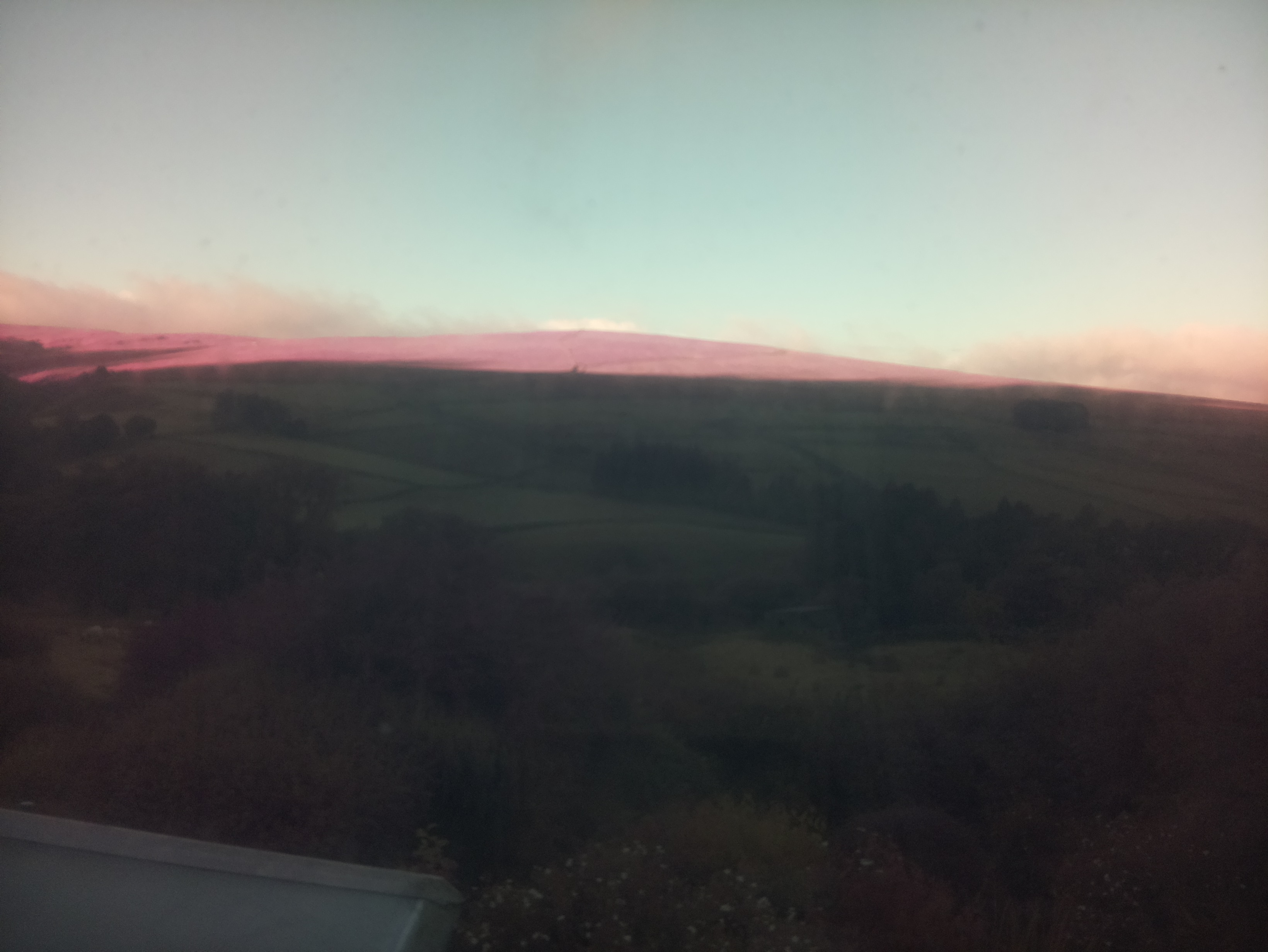 raspi webcam photo