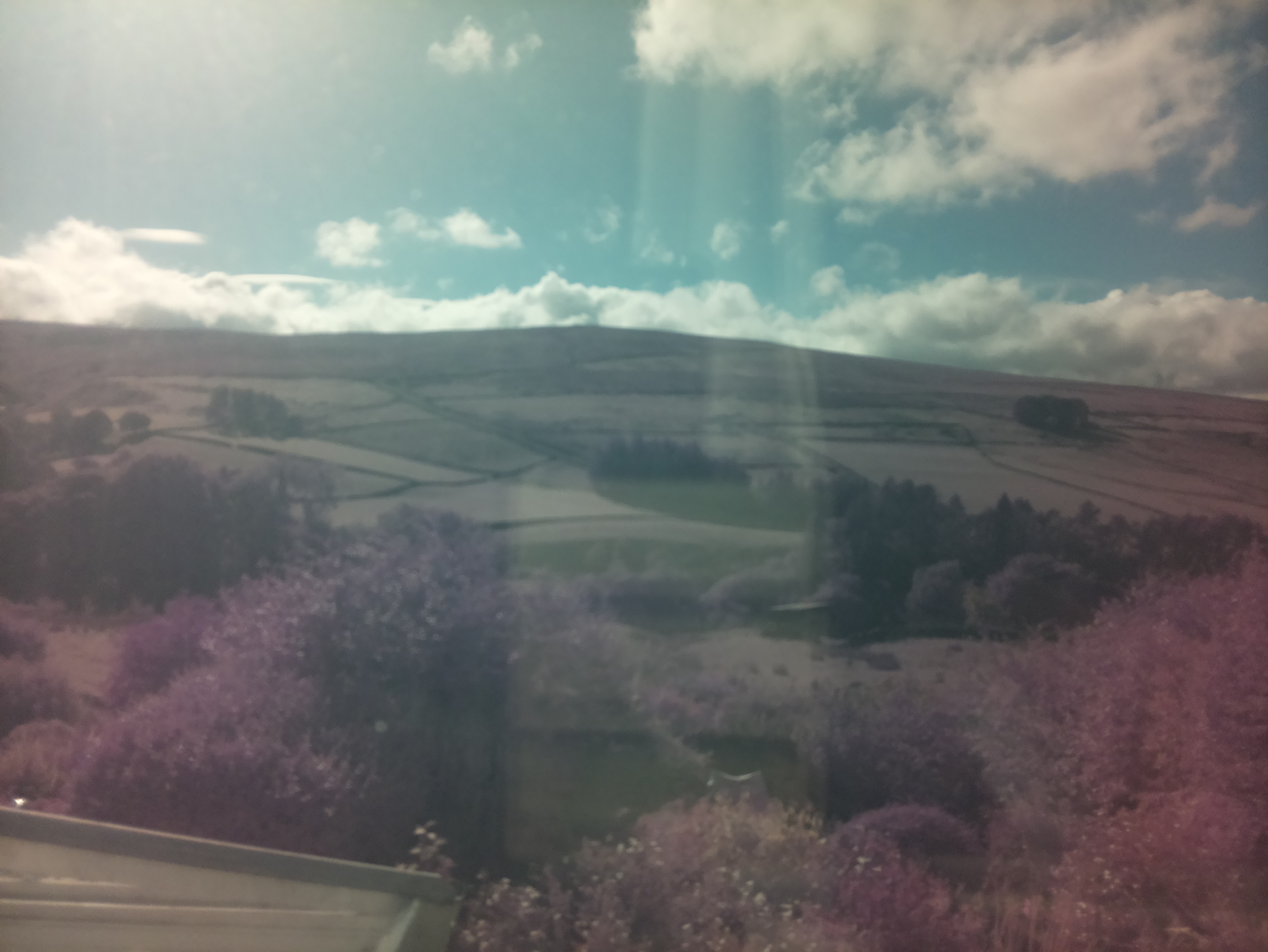 raspi webcam photo