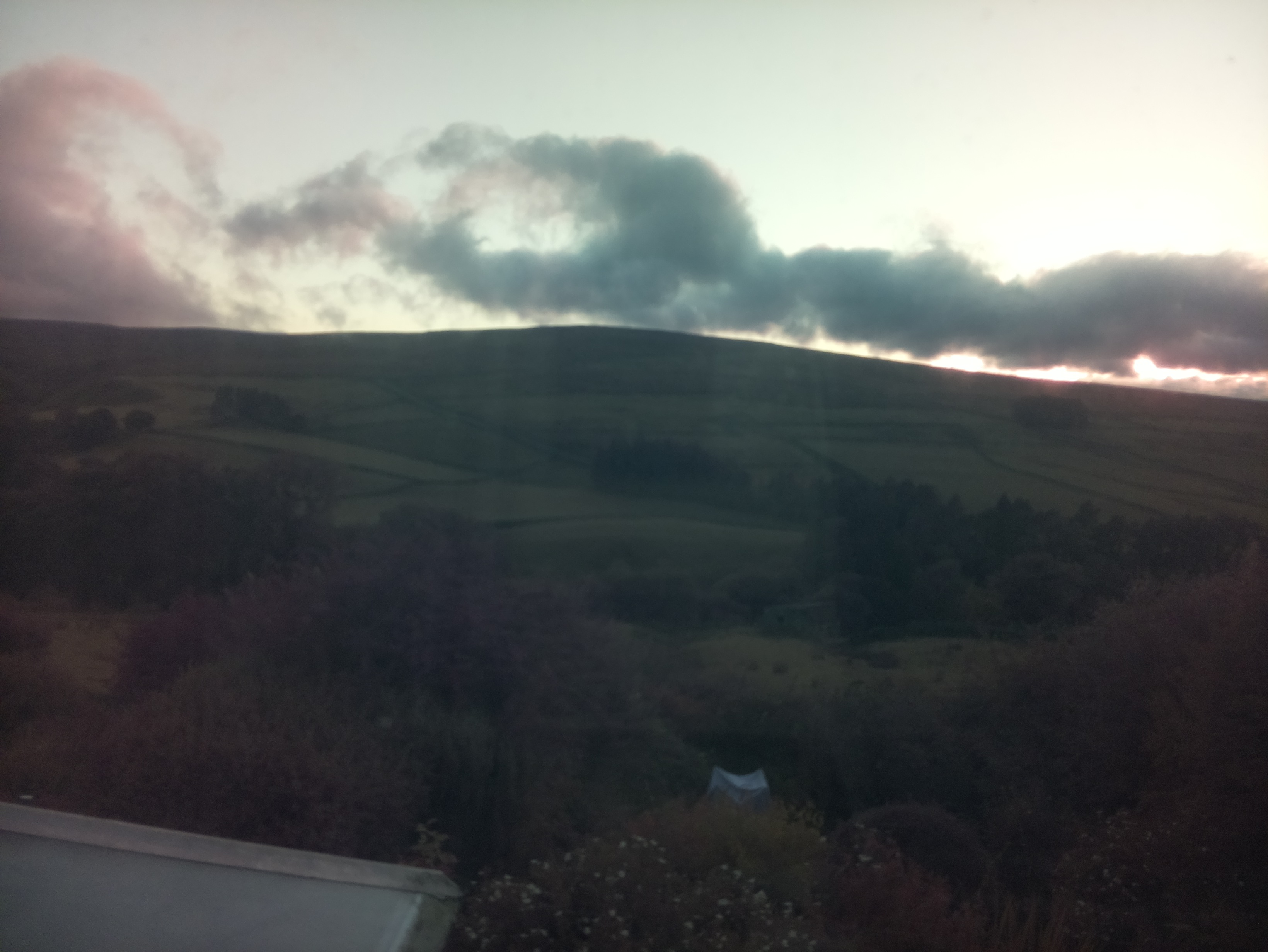 raspi webcam photo