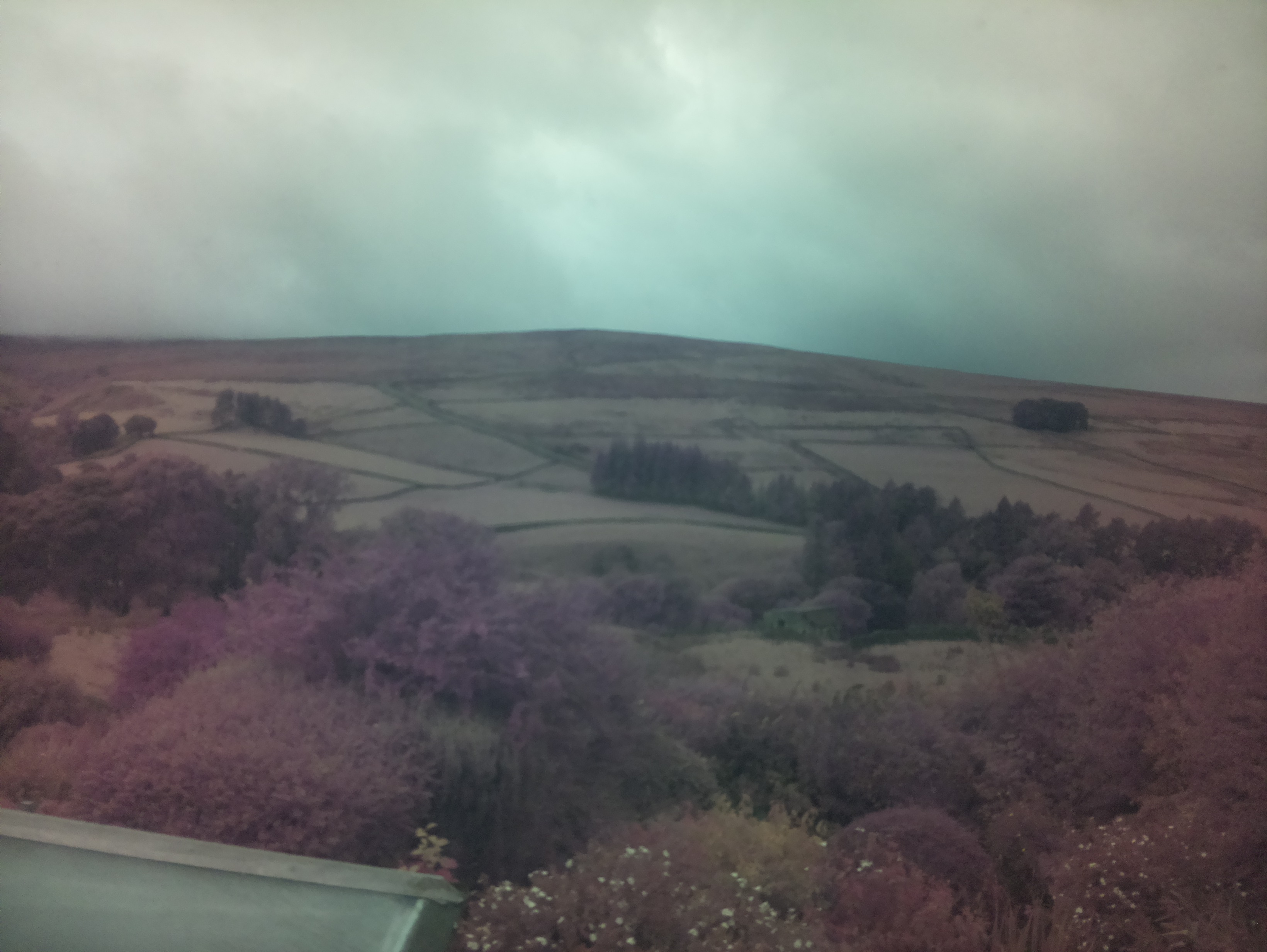 raspi webcam photo