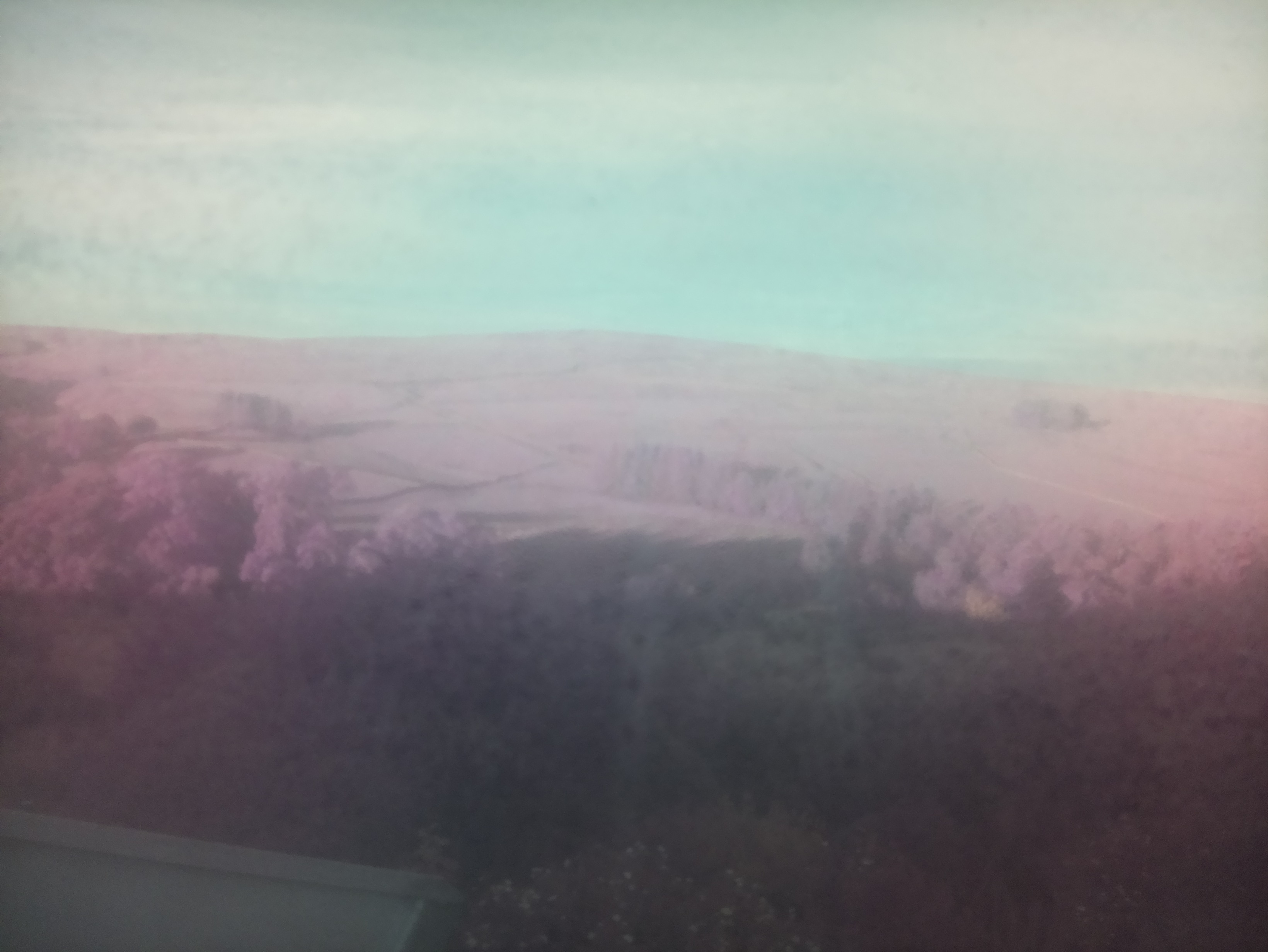 raspi webcam photo