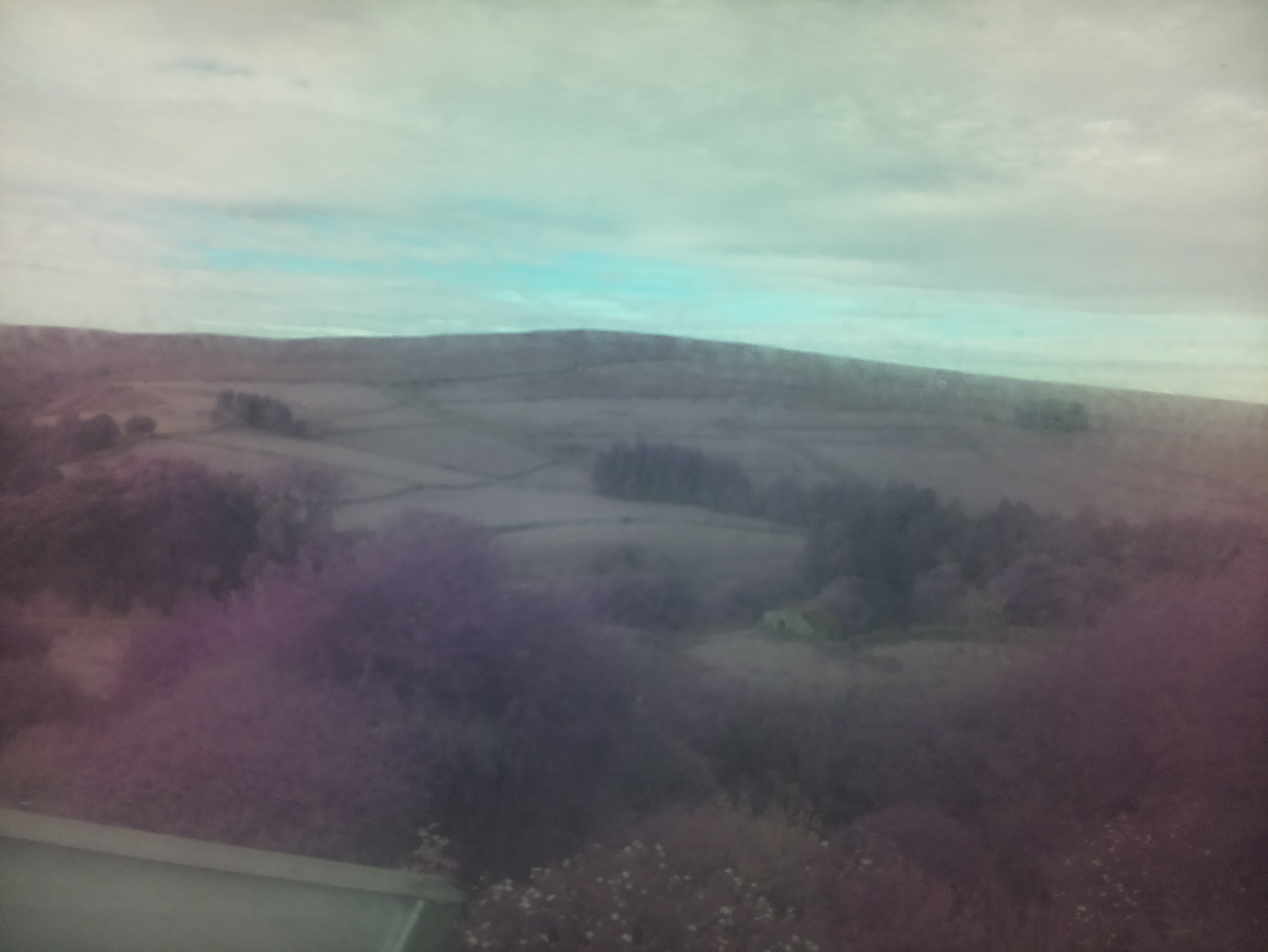 raspi webcam photo