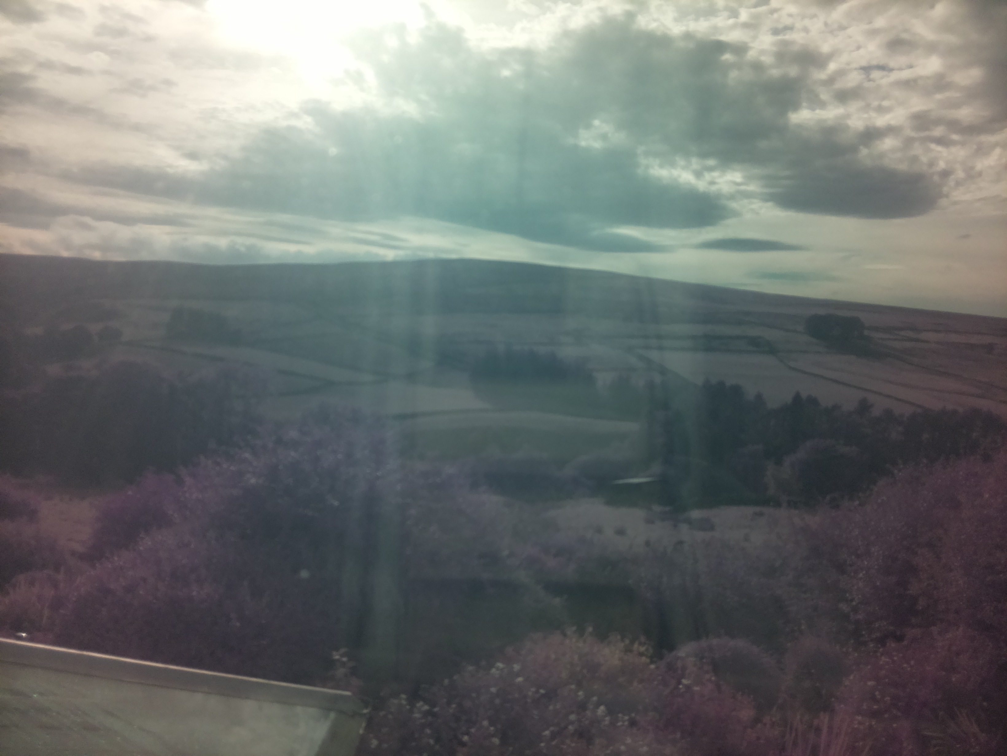 raspi webcam photo