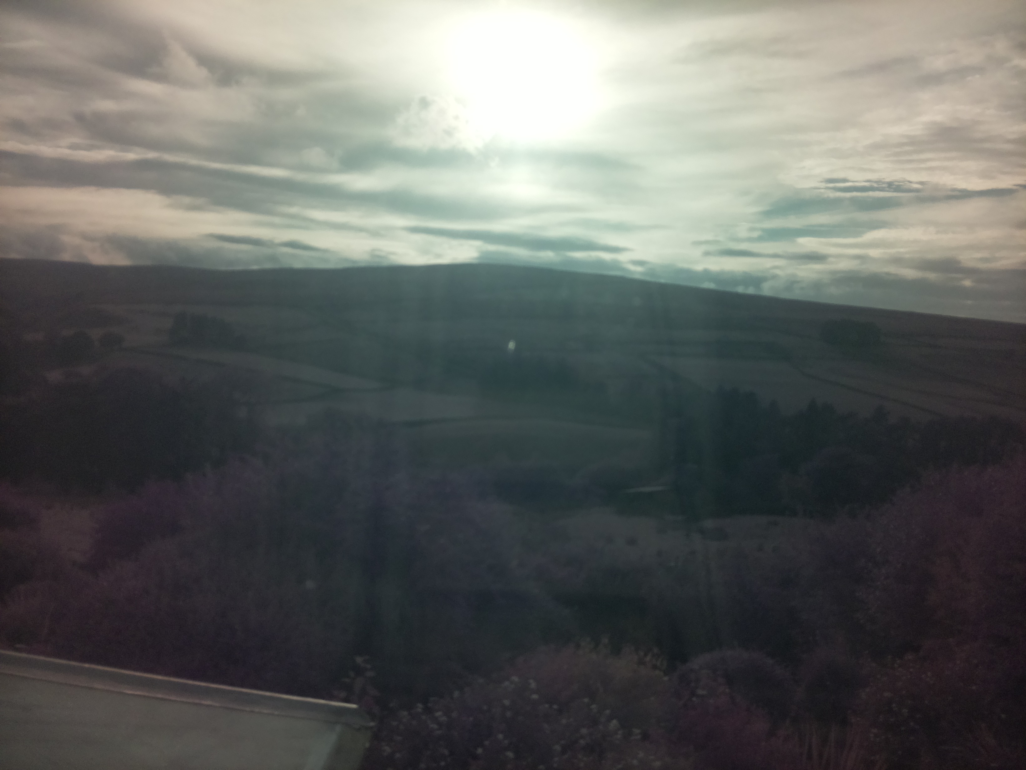 raspi webcam photo